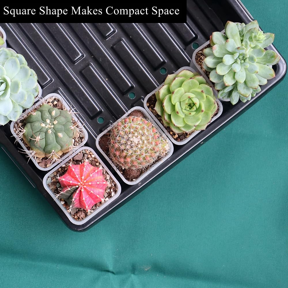 BangQiao 120 Pack 2.40 Inch Small Clear Plastic Square Nursery and Seedling Pot, Deep Transplant Seed Starter Planter with Drain Hole for Germination, Herb, Succulent