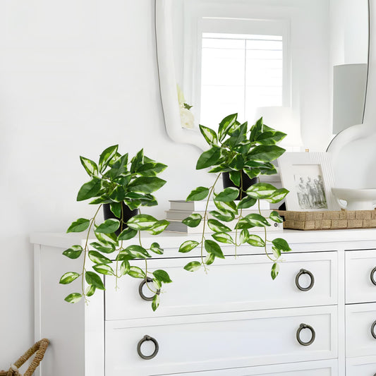 Briful Small Fake Plants Indoor (Set of 2) Realistic Faux Trailing Plant Artificial Potted Plants in Black Pot White N' Joy Leaf Houseplant for Living Room Table Kitchen Counter Shelf