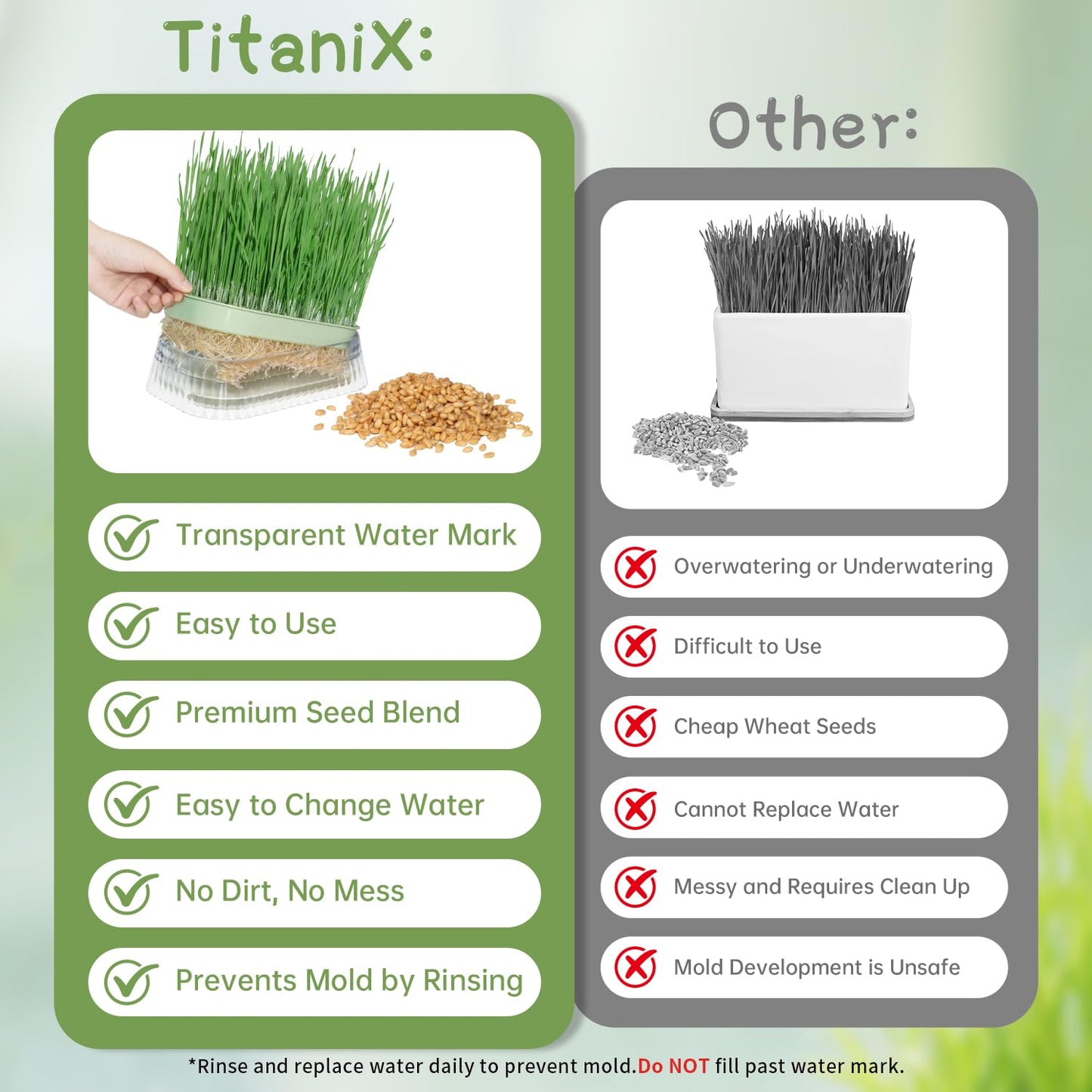 Cat Grass for Indoor Cats with 5Pack Non GMO Seeds, Organic Grass Growing Kit, Soil-Free Planter, Perfect for Beginners, Ideal Birthday Gift for Cat Lovers