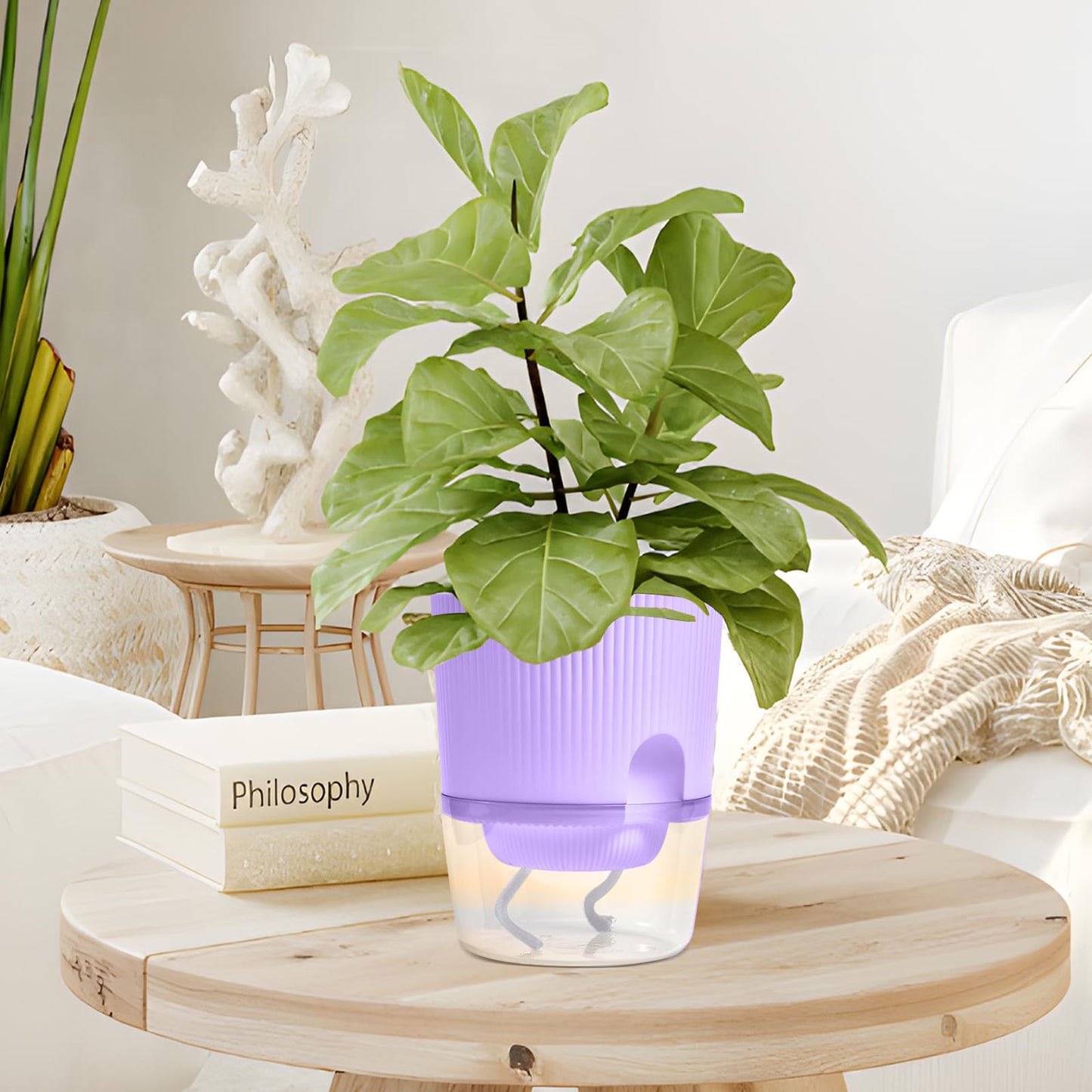 Eurysman 3 Pack - 5.5 Inch Self Watering Planter Pots for Indoor Plants - African Violet Pots with Wick Rope - Purple