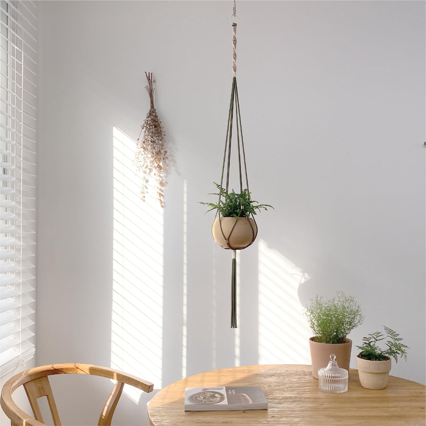 LET BE Macrame Plant Hanger Polyester Rope 42 Inch Outdoor Indoor Adjustable Hanging Planter for up to 10 Inch Plant Pot Modern Boho Home Decor (1, Forest Green/Ivory)