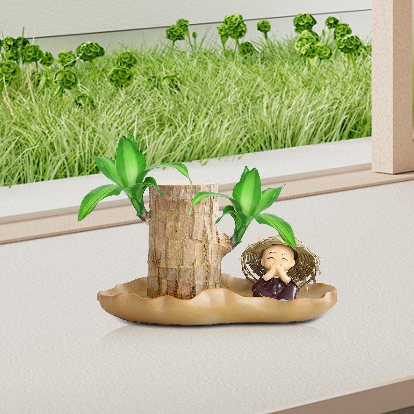 Brazilian Wood Plant, Brazilian Lucky Wood Plant with Pot, Brazilian Wood Hydroponic Plant for Purifying Indoor Air, Brazilian Wood Tree Stump, Brazil Lucky Wood Plant for Indoor Offic-e Desktop Decor