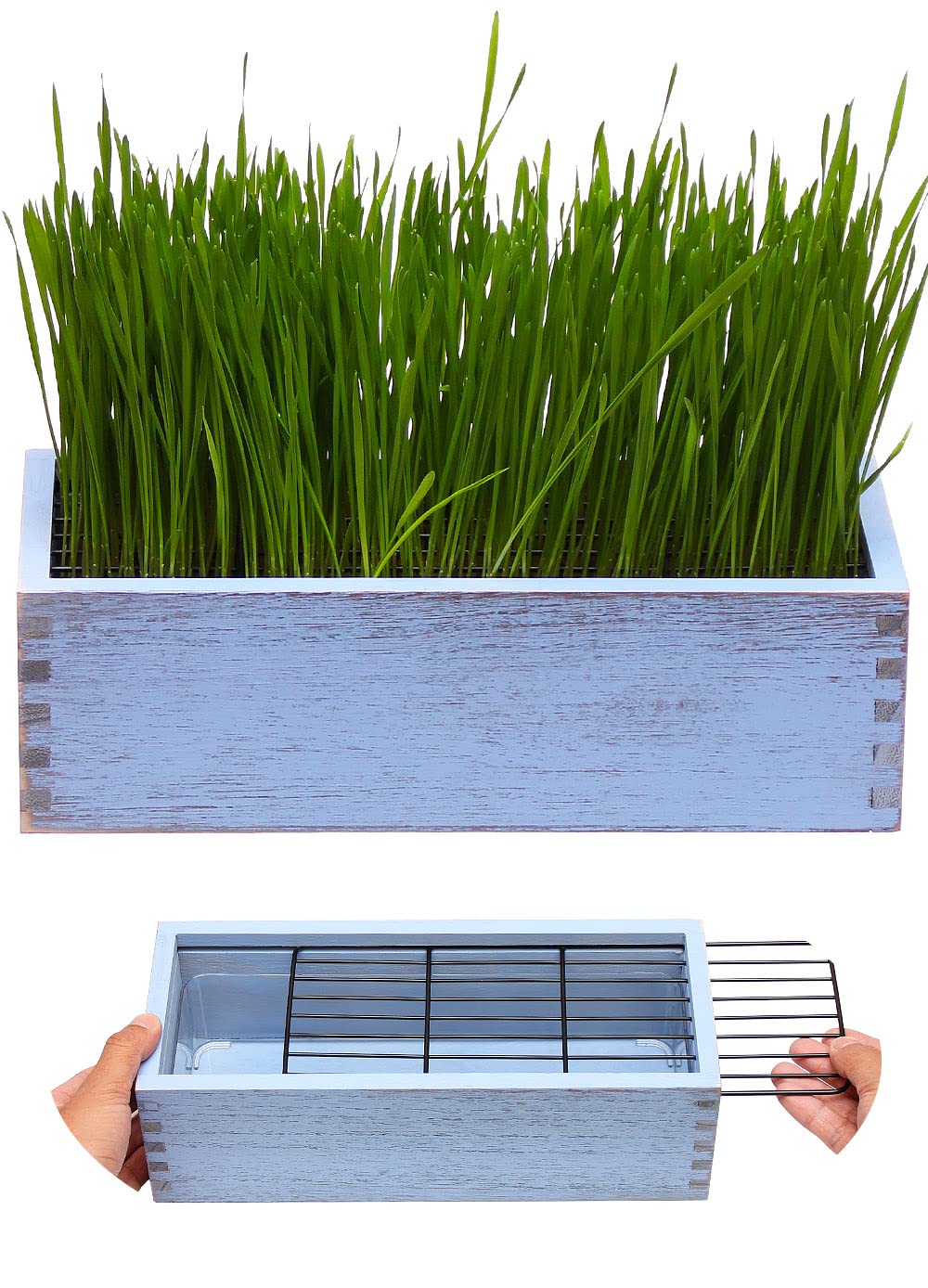 BENPIN Wooden Cat Grass Planter (no Seeds Included) with Anti Digging Design, and Removable Plastic Liner, Wheat Grass Growing Pot, Cat Grass for Indoor Cats Pets (Vintage Blue)