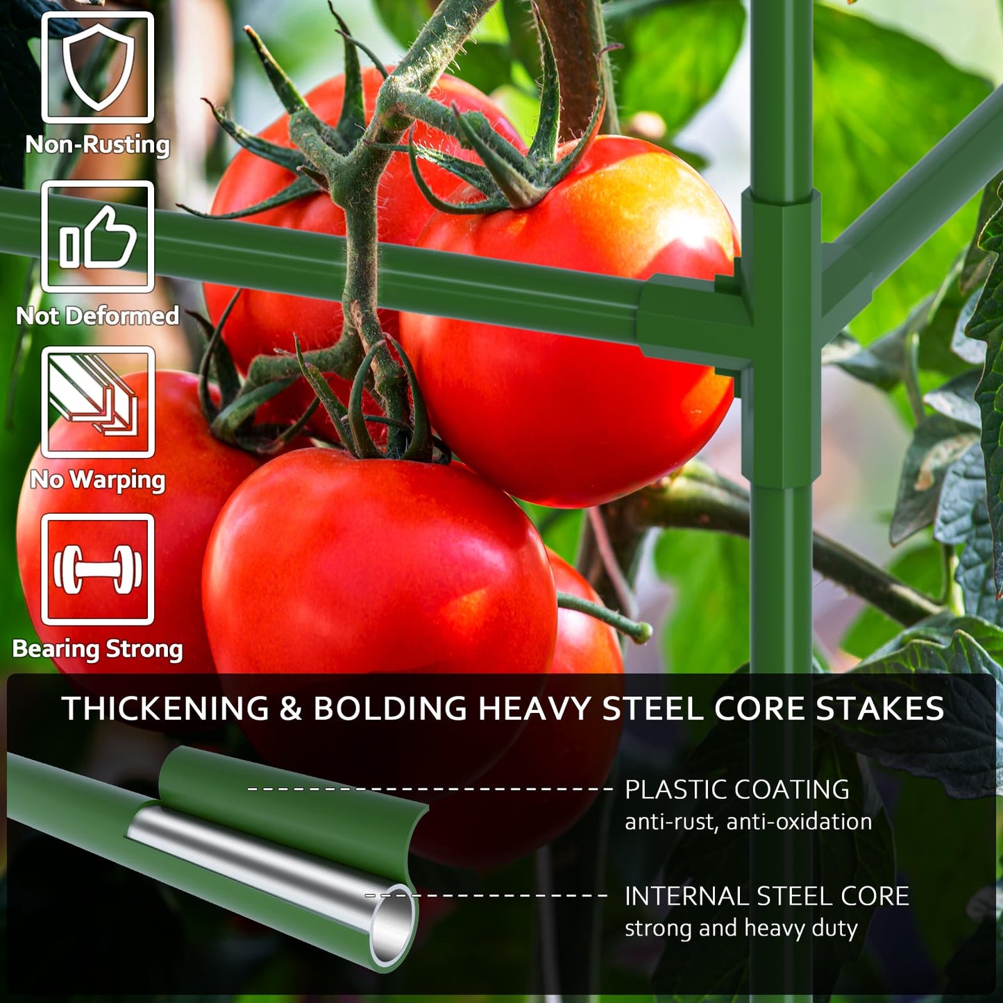 WLLEYAY 3 Pack Tomato Cages, Square Tomato Plant Stakes Support Cages Trellis, 50 * 17 * 17in Heavy Duty Steel Plant Tower Stakes Cucumber Trellis for Garden Climbing Vegetables Flowers Fruits, Bold