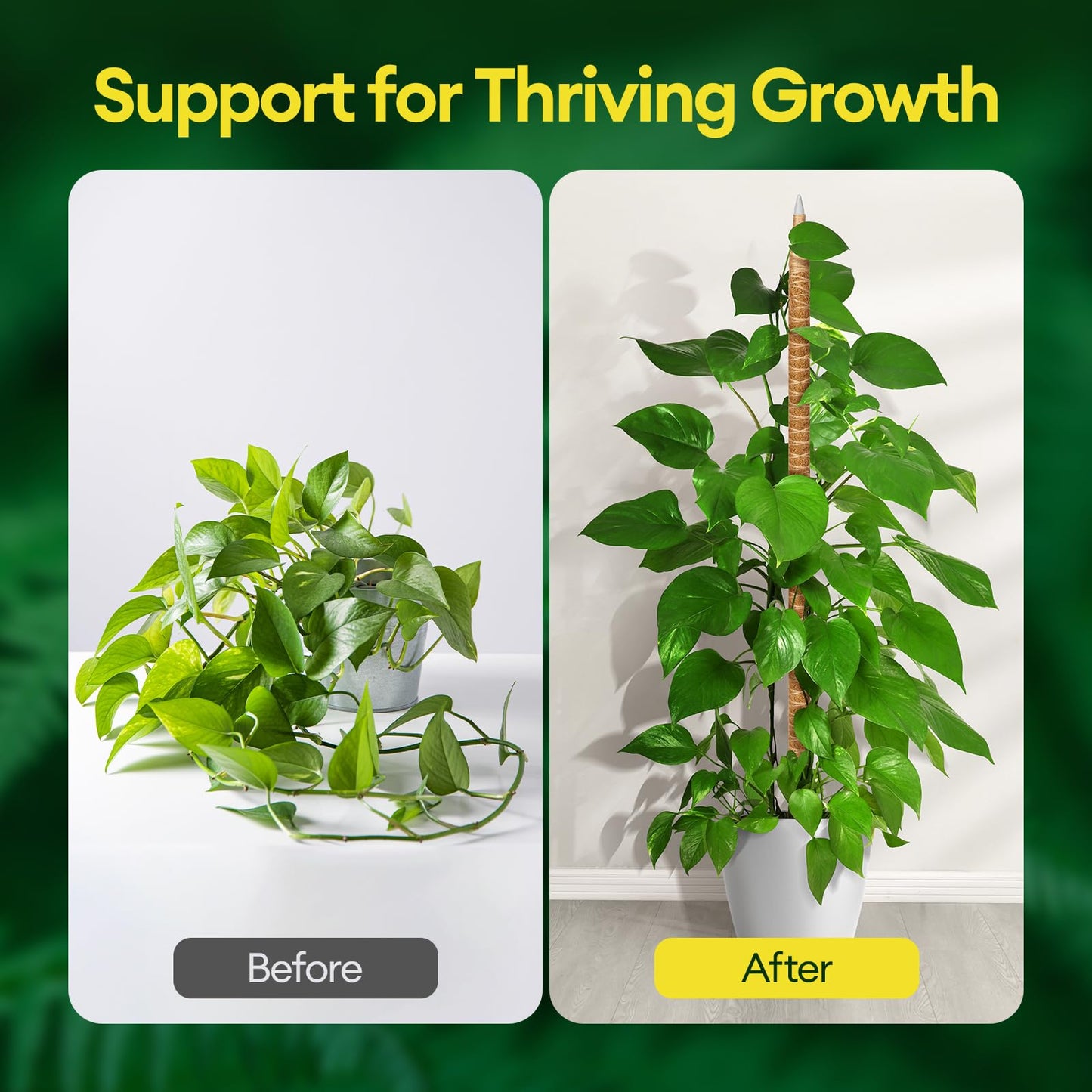 Maygrove 3-Pack 48” Bendable Moss Pole Monstera Plant Support for Climbing Indoors Plants, Coir Moss Poles Moss Sticks Plant Pole DIY, Plant Support Stake for Potted Plants