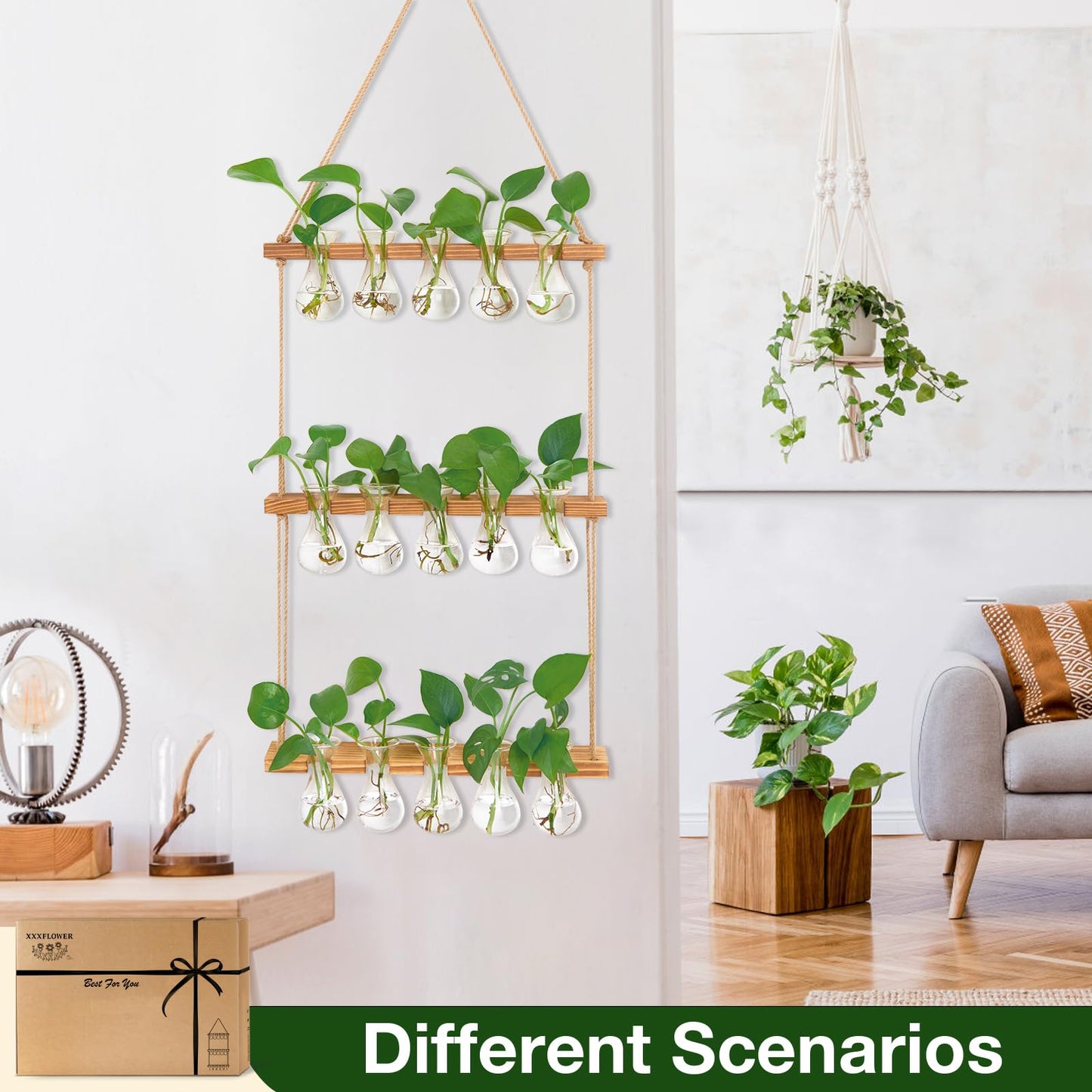 XXXFLOWER Wall Hanging Propagation Station with Wooden Stand 5 Bulb Vase 3 Tiers Planters Wall Terrarium for Home Office Plant Hanger Flower Vases Wall Decor