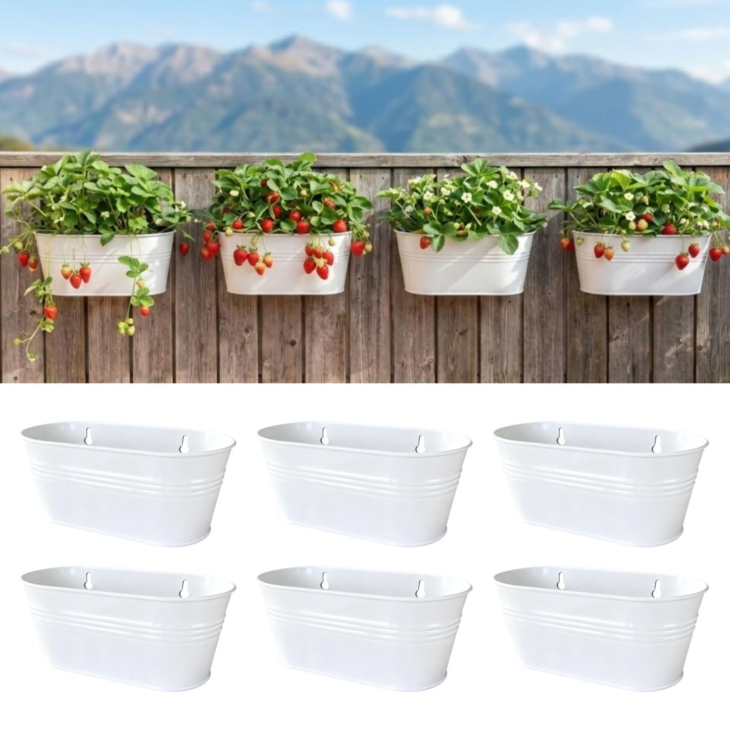 LaLaGreen Wall Planter (9.8 Inch, 6 Pack) White Oval Metal Pot Hanging Decor Flower Railing Fence Pots Mounted Indoor Plant Holder Porch Decorations Drainage Garden Plants Planters Balcony Home Yard