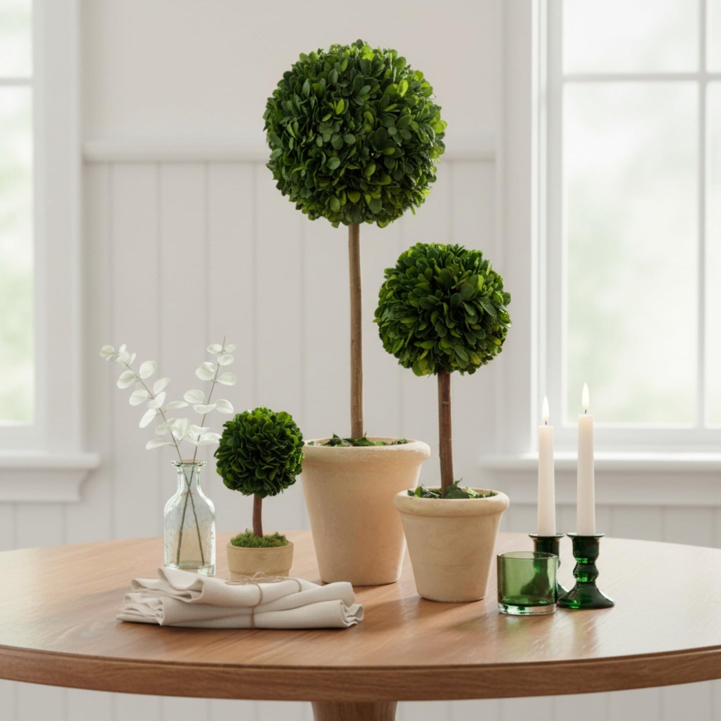 Shine Company Real Preserved Single-Ball Boxwood Topiary with Cream Grey Terracotta Pot (16"/12"/6" Tall, Set of 3)