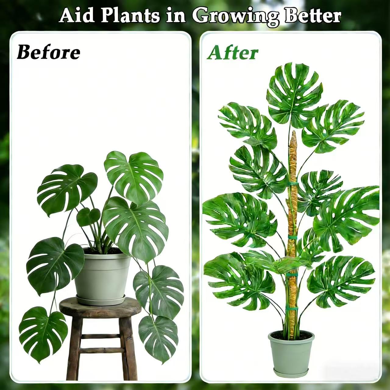 Eralivmart 2 Pack 48 Inch Monstera Plant Support Bendable Moss Pole for Climbing Indoor Plants 7mm Strong Aluminum Core Support Stakes Tall Plant Stake Kit for Potted Plants Pothos Philodendron