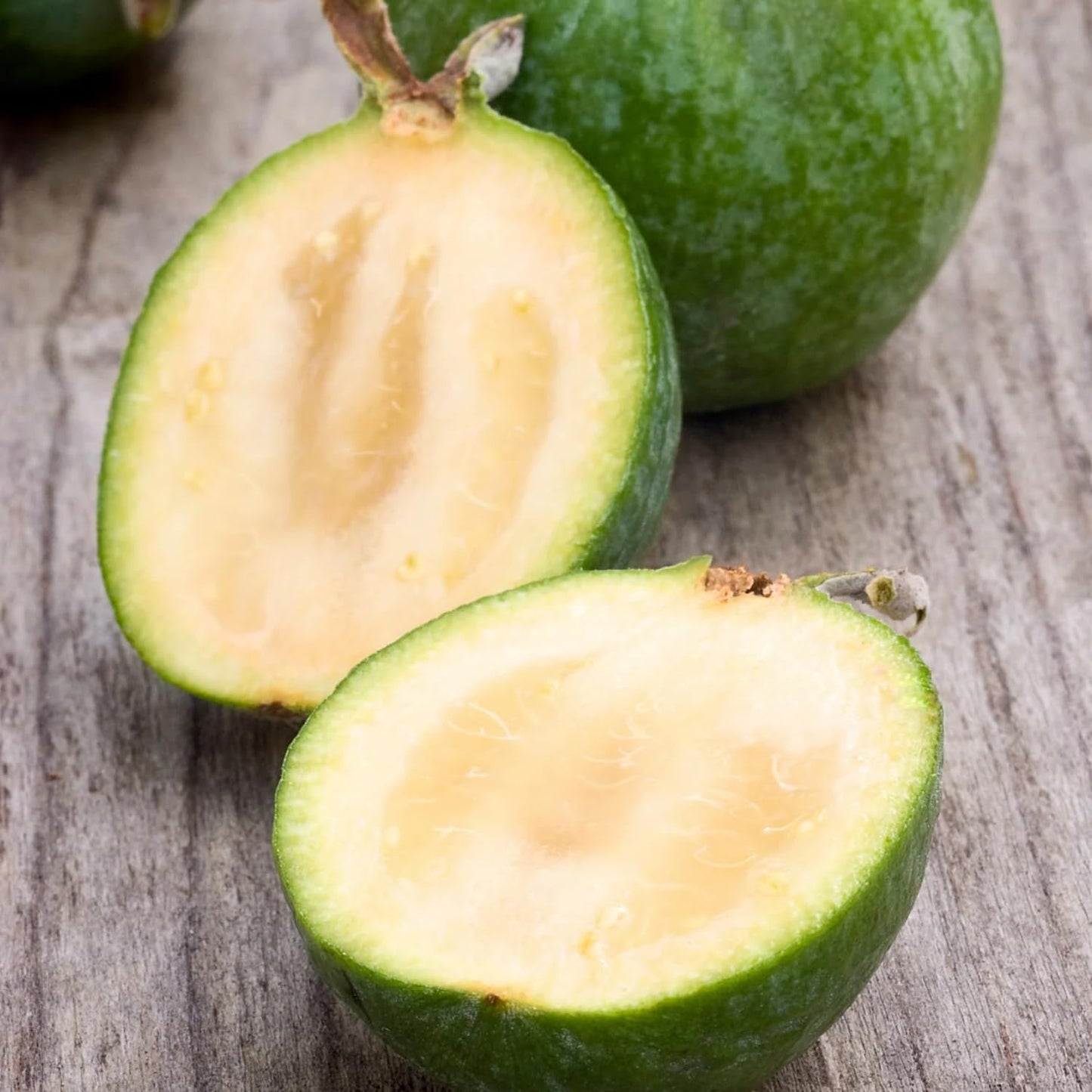 3 Pineapple Guava Live Plants, Pineapple Guava Fruit Trees 4-7 Inches Tall to Grow