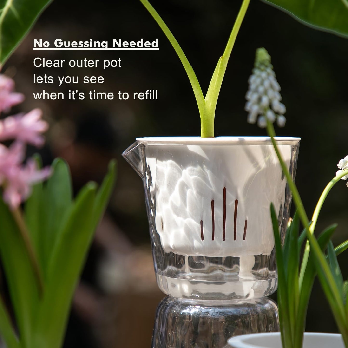 4 Inch Self Watering Plant Pots for Indoor Plants 10 Packs African Violet Pot, Self Watering Planters for Herb, Orchid, Devil's Ivy, Flower Houseplant Planters, Clear Plant Pots, White