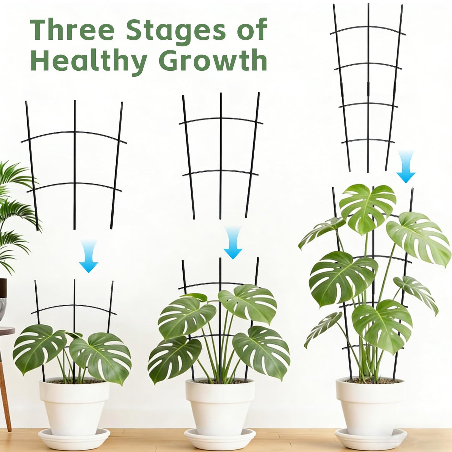 Garden Metal Trellis 24'' Thickened Plant Trellis for Climbing Plants Outdoor/Indoor，2 Pack Monstera Trellis for Potted Plants Flower Hoya Pothos Vine Ivy，Wave Shape