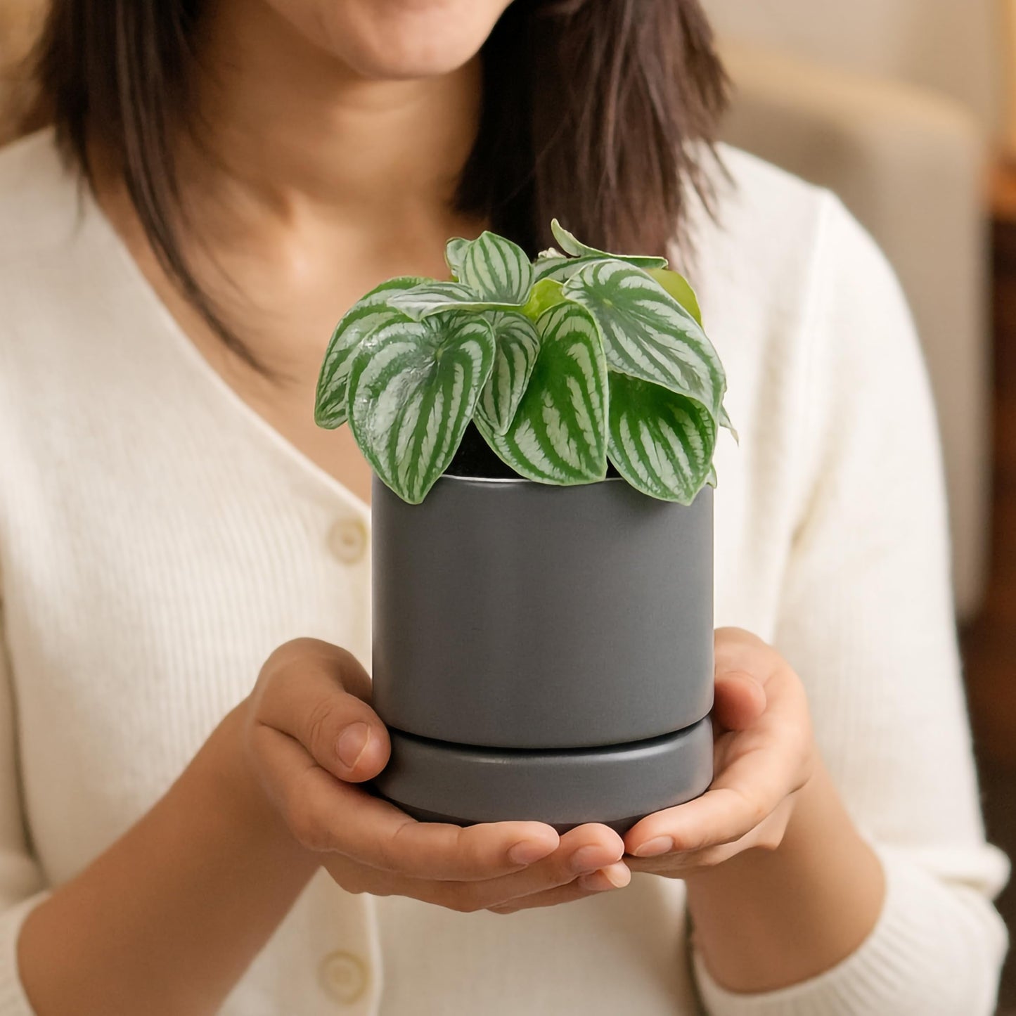 D'vine Dev Set of 4 Small Ceramic Plant Pots, 4.7 Inch Succulent Planter Pot for Plants with Drainage Hole and Saucer, Grey, 94-X-B-3