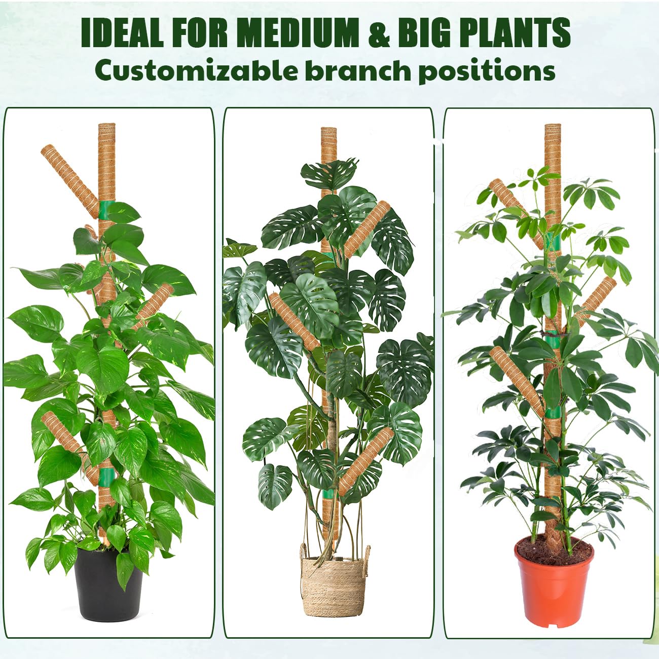 Moss Pole for Monstera Plant Support, 3 Pack 15.7'' Stackable Moss Poles for Climbing Plants, Indoor Garden Coco Coir Poles for Monstera Deliciosa, Pothos, Philodendron (15.7In x 3Pack)