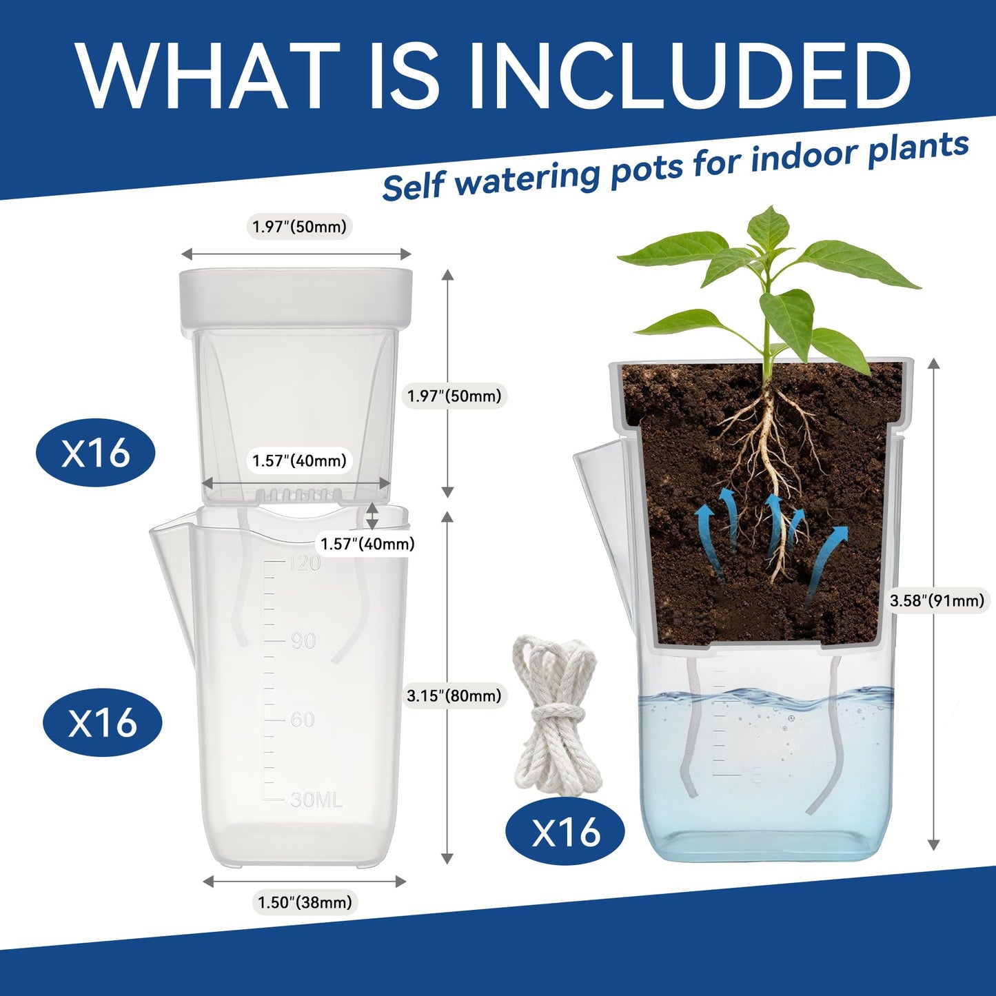 sunanday 16 Pack 2" Mini Self Watering Pots for Indoor Plants, Small Clear Deep Square Plastic Planters,Self Watering Planters Garden Flower Pots for fluval Stratum,alocasia Live Plant
