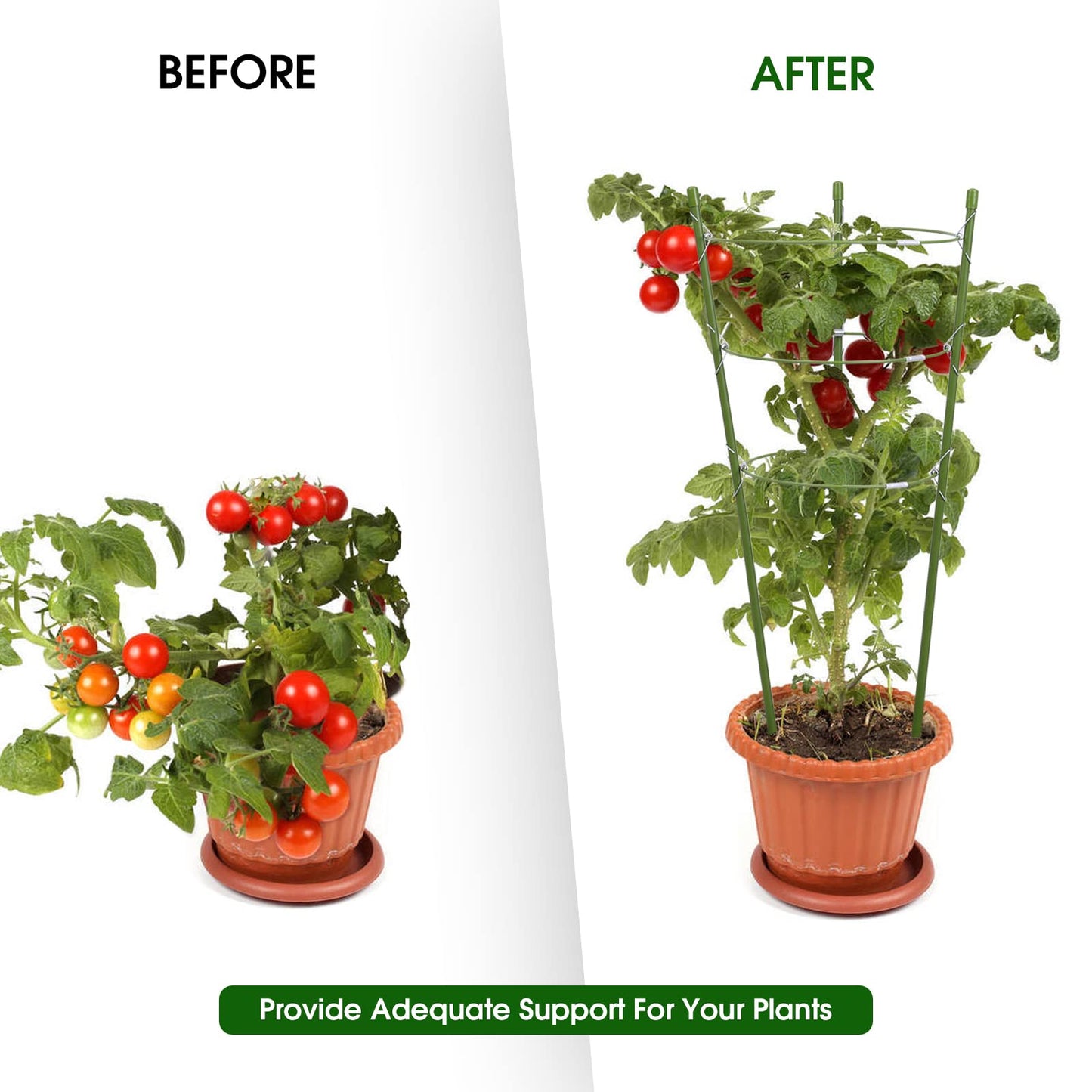 TOCCYARD 8 Pack Plant Support Tomato Cages for Garden, 18 Inches Small Tomato Cages and Supports with Adjustable Rings for Garden Pots, Plant Stakes Tomato Trellis Rings for Climbing Plants