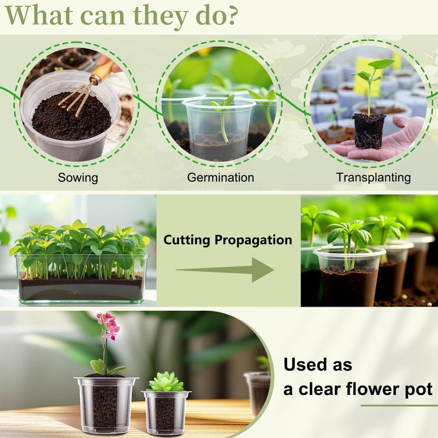 SupKing Clear Nursery Pots 5/4/3.5 Inch Plastic Seed Starter Plant Flower Pot with Drainage Holes for Transplanting Succulents Cuttings Seedlings 15 Labels (12Pcs)