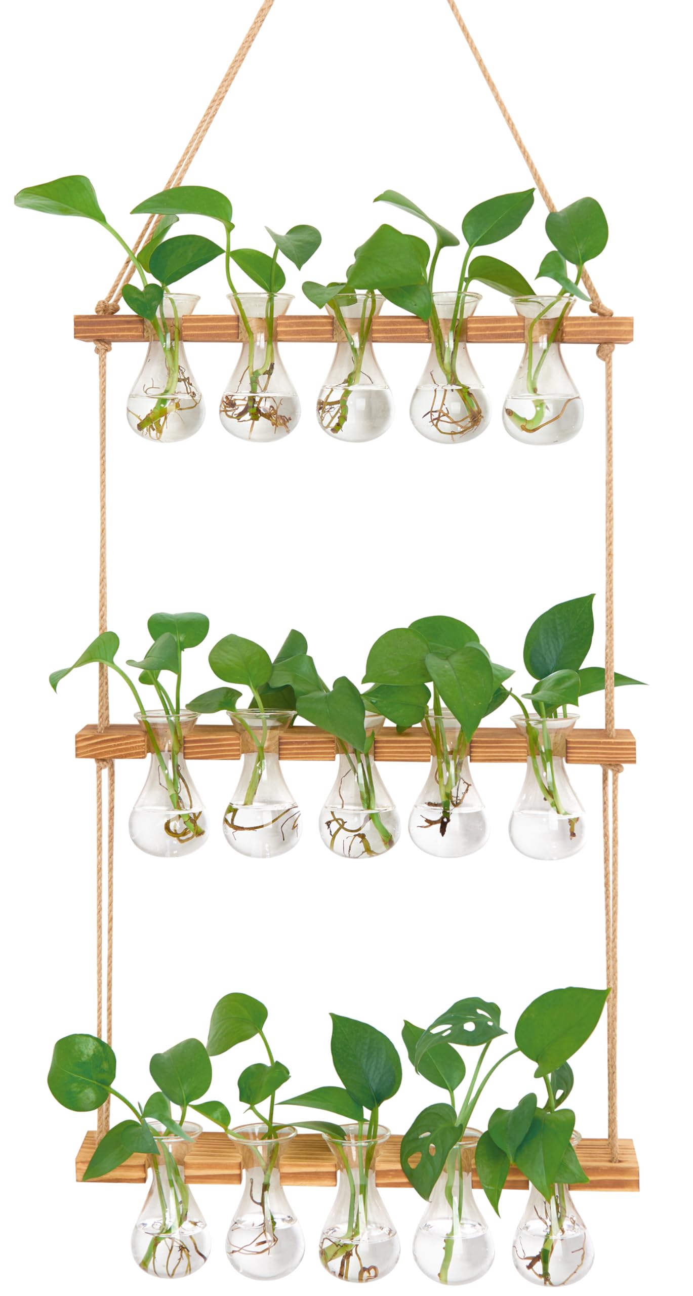 XXXFLOWER Wall Hanging Propagation Station with Wooden Stand 5 Bulb Vase 3 Tiers Planters Wall Terrarium for Home Office Plant Hanger Flower Vases Wall Decor