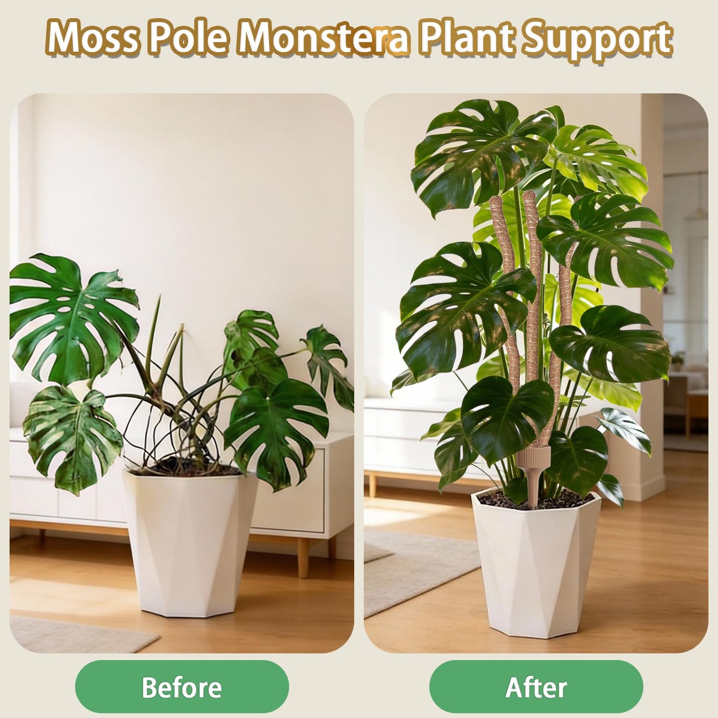 3 Moss Poles in 1, Bendable Monstera Plant Support, 30IN Tall Plant Stakes for Indoor Plants, Coir Pole Plant Support for Climbing Plants, Pothos, Philodendron-1 Pack