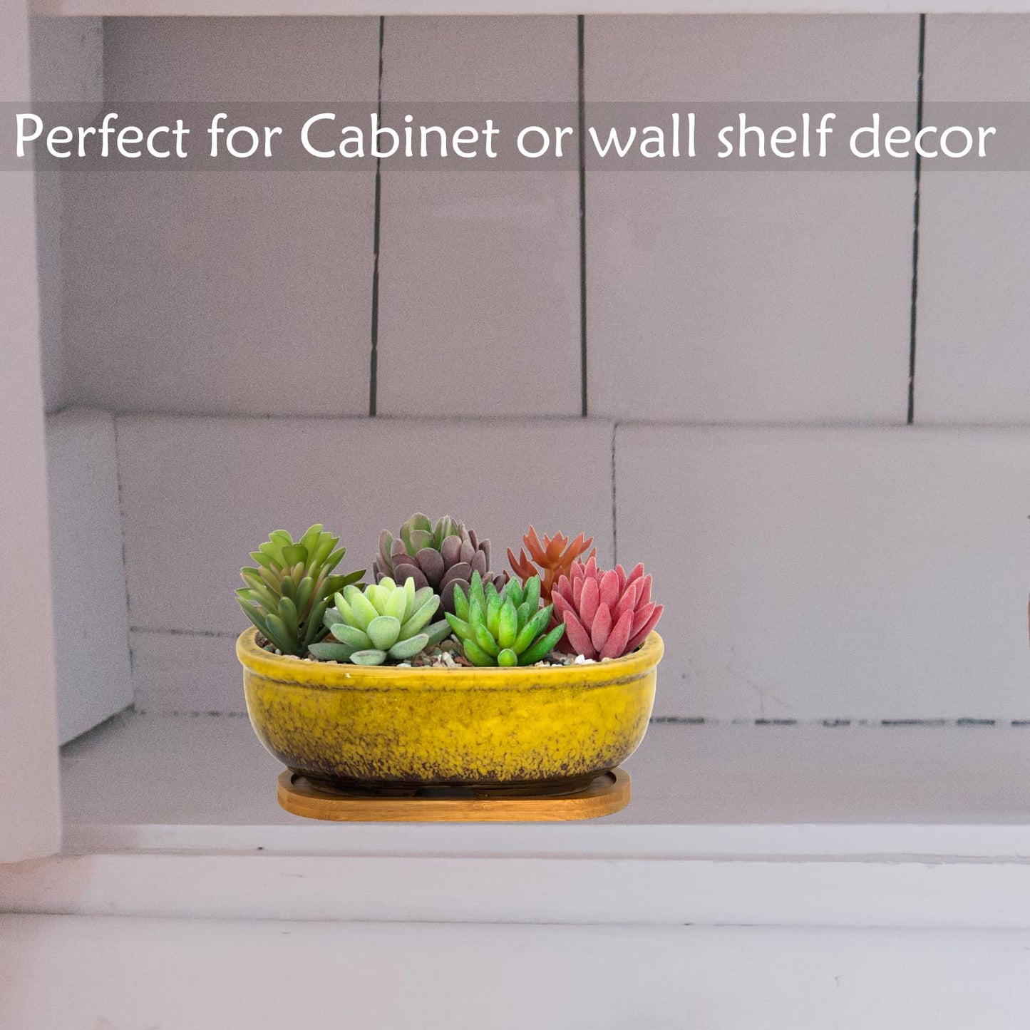 ARTKETTY Succulent Pots, 7.9 Inch Large Succulent Planters with Drainage Tray, Shallow Planters for Indoor Plants Ceramic Cactus Pots Glazed Bonsai Flower Plant Container for Home Windowsill Decor