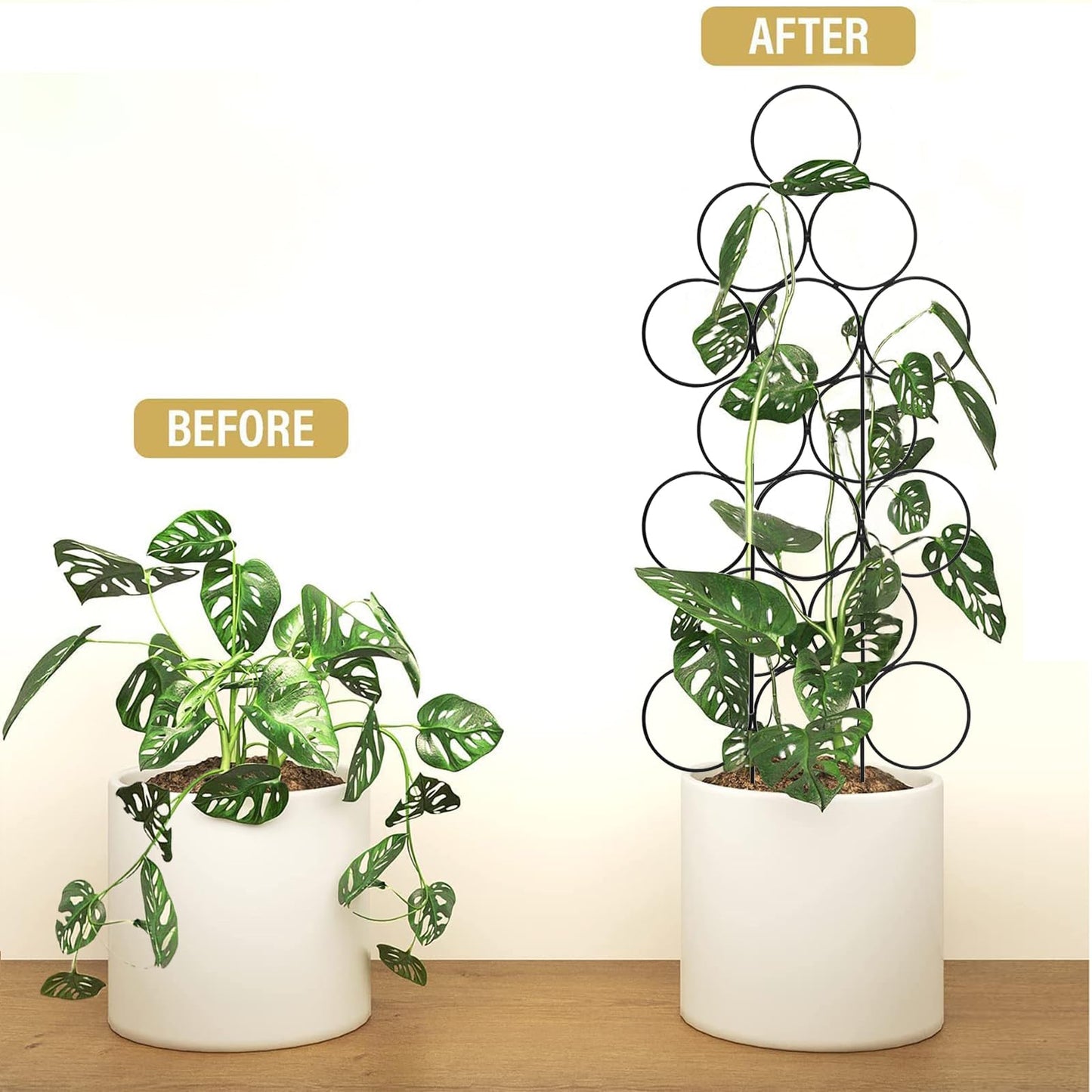 IA Garden Trellis for Climbing Plants Indoor, 3 Pack Stackable Garden Trellis for Potted Plant Support, 14.2 Inch Small Houseplant Metal Wire Trellis for Vine Ivy Rose Plant Trellis (Black)