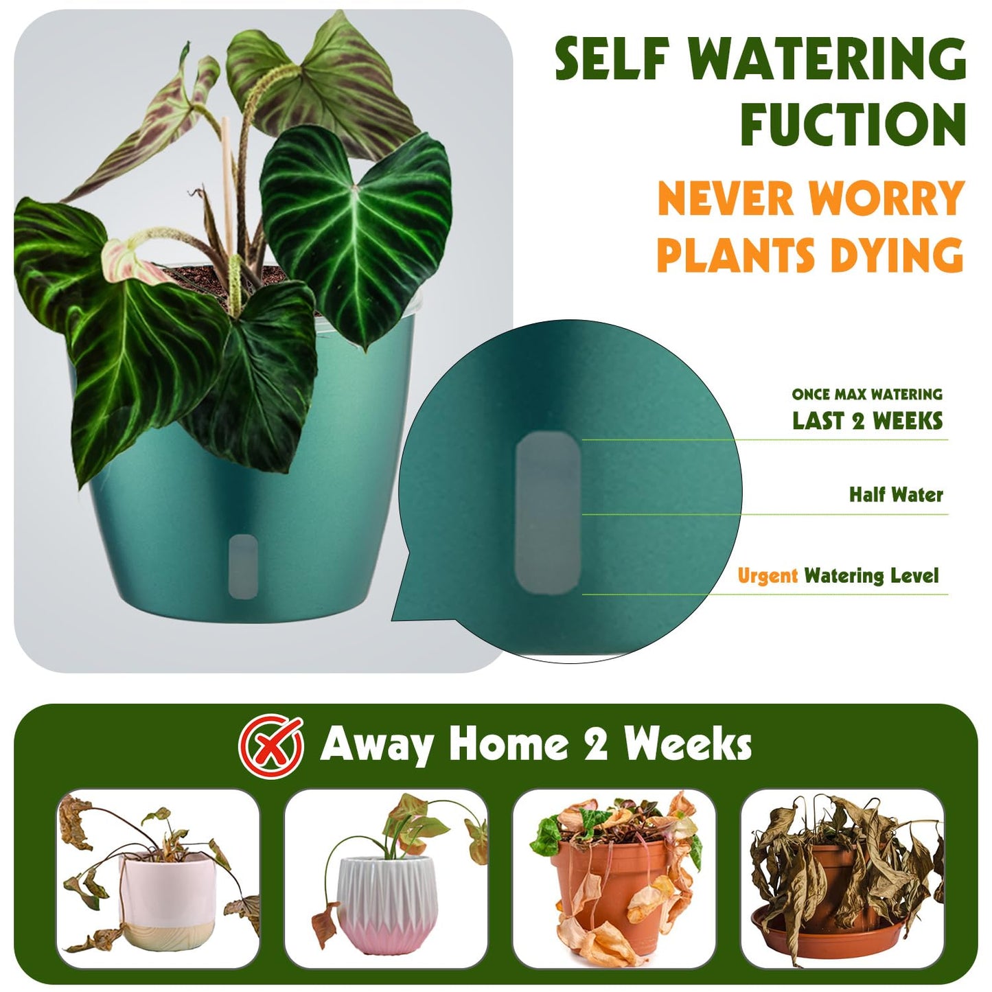 KvyusFlourish Self Watering Pots for Indoor Plants, 4-Pack 6.7'' Self Watering Planter with Drainage Holes, Small African Violet Pots with Water Indicator, Clear Wick Orchid Pot, Blue Gold