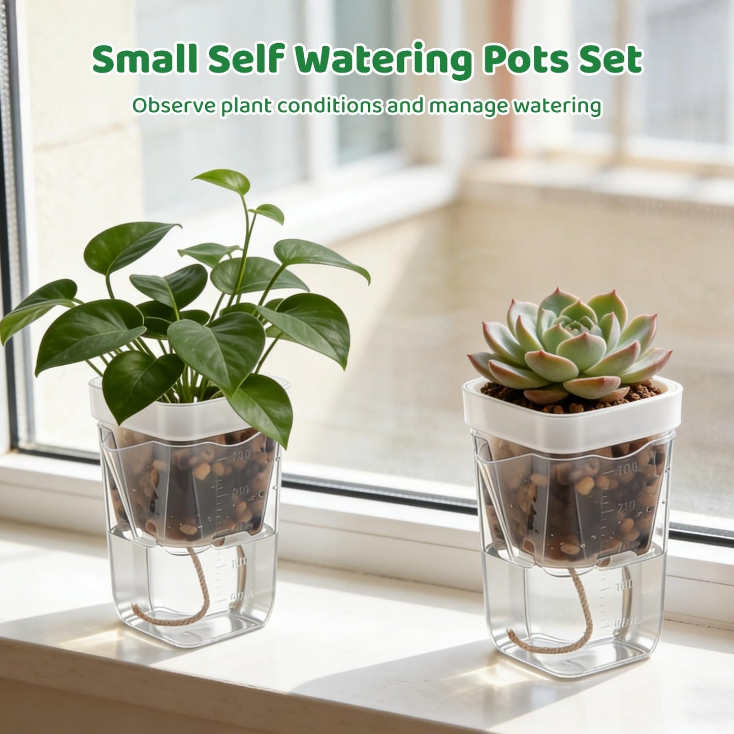 ZALIR 12 Pack Small Self Watering Pots Set, Mini Transparent Plastic Planters, Semi-Hydro Pots, 2.6 in Hydroponic Pots for Succulents, Seedlings, Herbs, Flowers