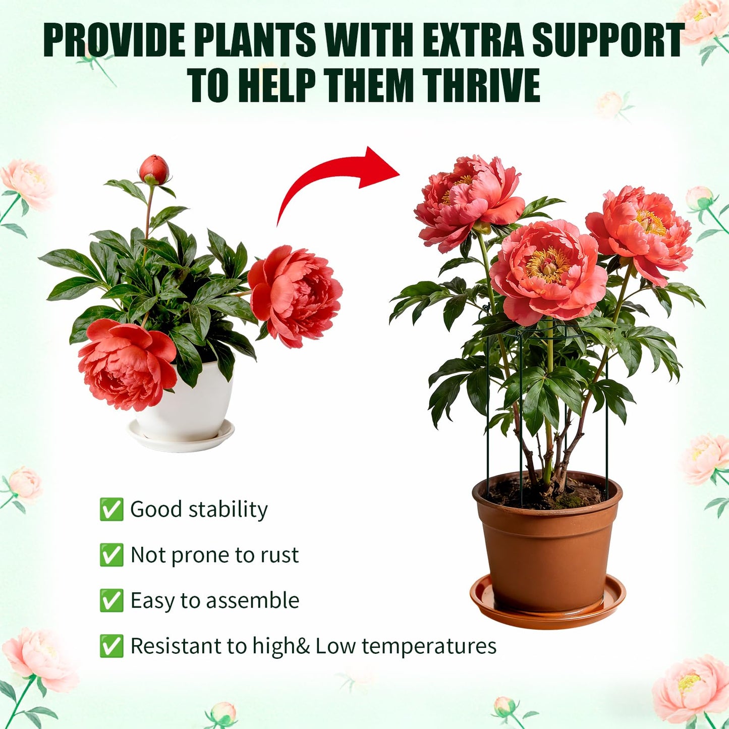 4 Pack Peony Cages and Supports, Grow Through Flower and Plant Supports, 13" Dia x 31.5" High Metal Peony Rings Hoops with Stake, Peony Support Cage for Dahlia, Rose Bush, Hydrangeas, Peonies, Tomato