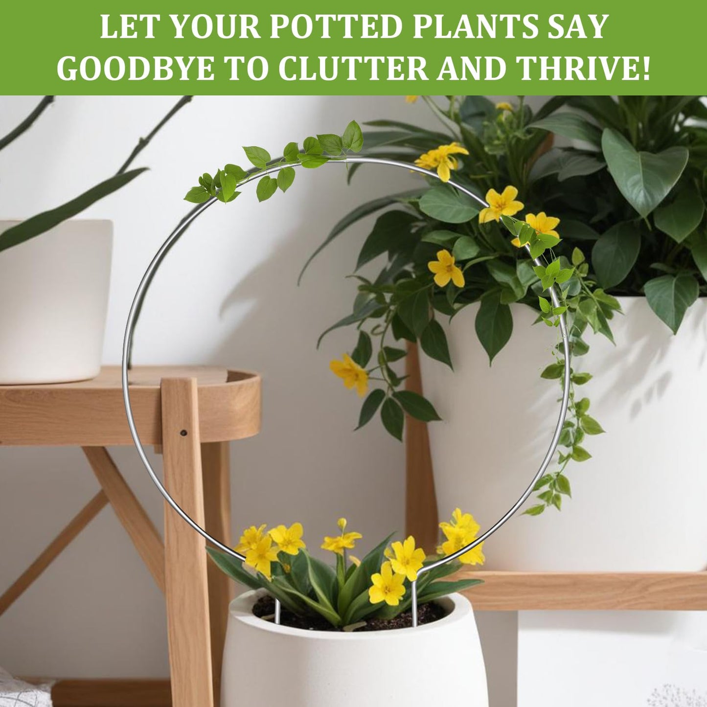 ZEYIYER 2PCS Small Trellis for Potted Plants, Circle Trellis with Plant Tape, Pothos Plant Climber Support for Climbing Plants Indoor Outdoor, Plant Trellis for Vines Hoya Flower Topiary Frames