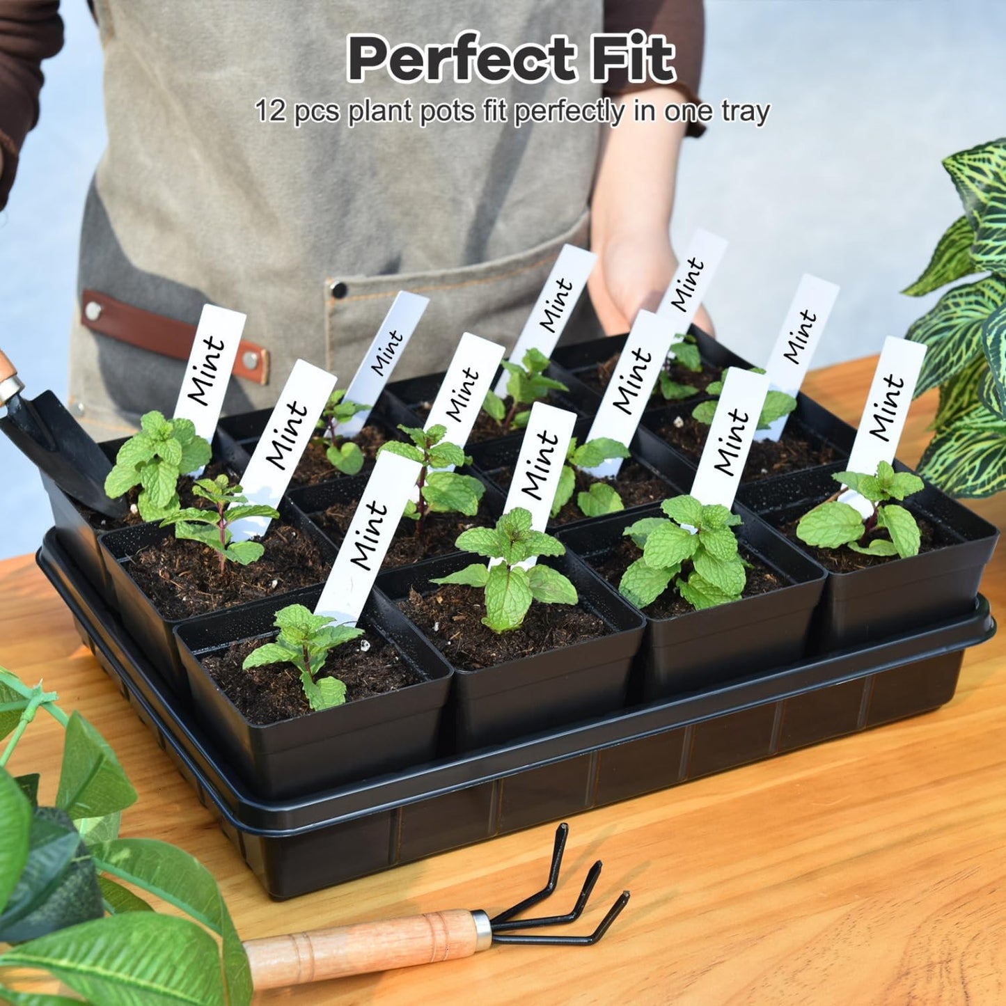 June Fox 60 Pcs Square Nursery Pots for Plants, 5 Pcs Seed Starter Tray Kit, 3.3 Inch Small Seedling Pots with Drain Holes, 60 Plant Labels (Black)