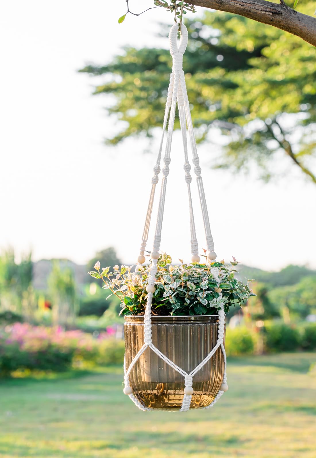 Melphoe Self Watering Hanging Planters for Indoor, 1 Pack 8.3 Inch Outdoor Hanging Plant Pot Basket, 2 Kinds of Plant Hangers Macrame 35.5’’ & Metal Chain 19.6’’ for Garden Home Decor