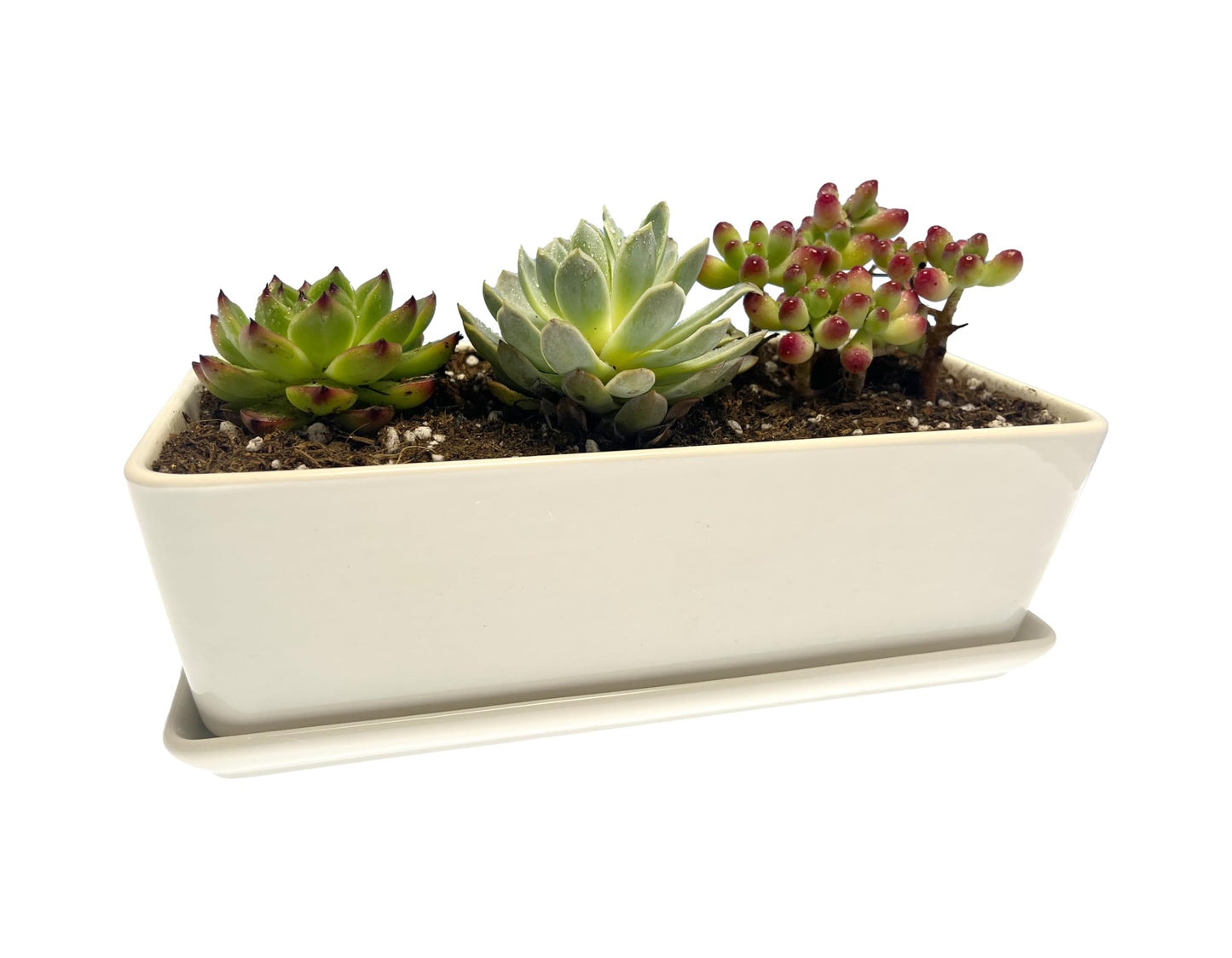 Kipokalor Rectangular White Ceramic Succulent Planter Pot,one Set of 10.19x4.64x3.22inch Modern Minimalist with Ceramic Saucer for Office,Desk,Window.