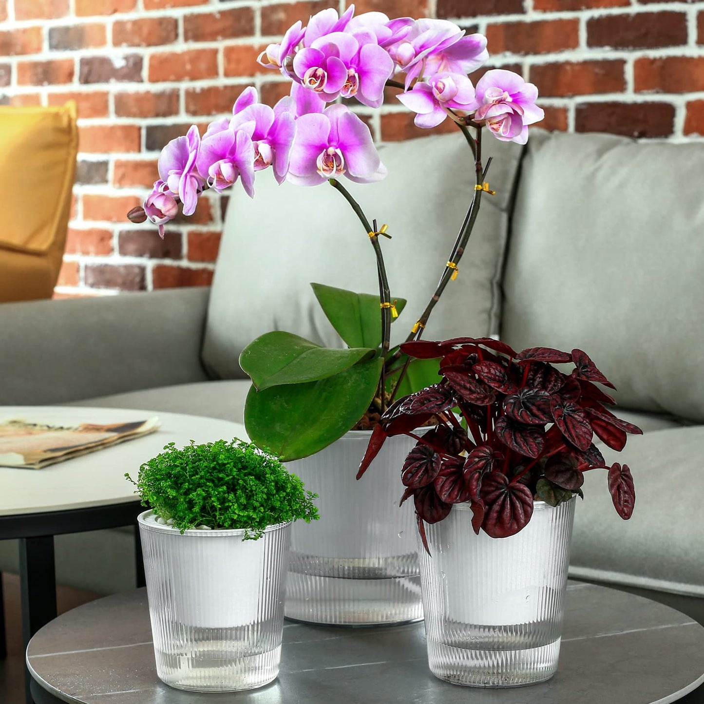 6-Pack 4.5 Inch Clear Self-Watering Planters and Pots for Indoor Plants Medium Orchid Plant Pots Plastic Wick Flower Pots, African Violet Pot Set, Home Decor Pot