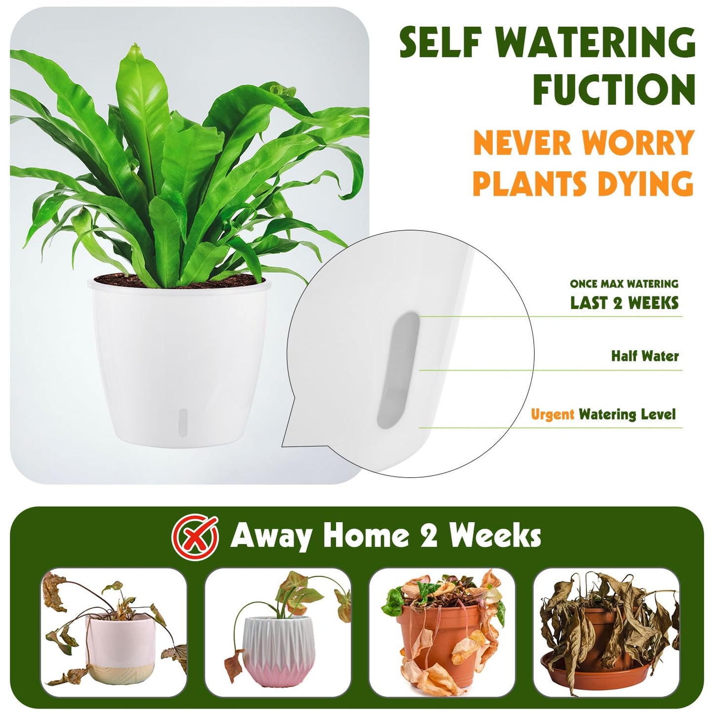KvyusFlourish Self-Watering Pots for Indoor Plants, 8-Pack 6.7'' Self Watering Planter with Drainage Holes, Small African Violet Pots with Water Indicator, Clear Wick Pot, White