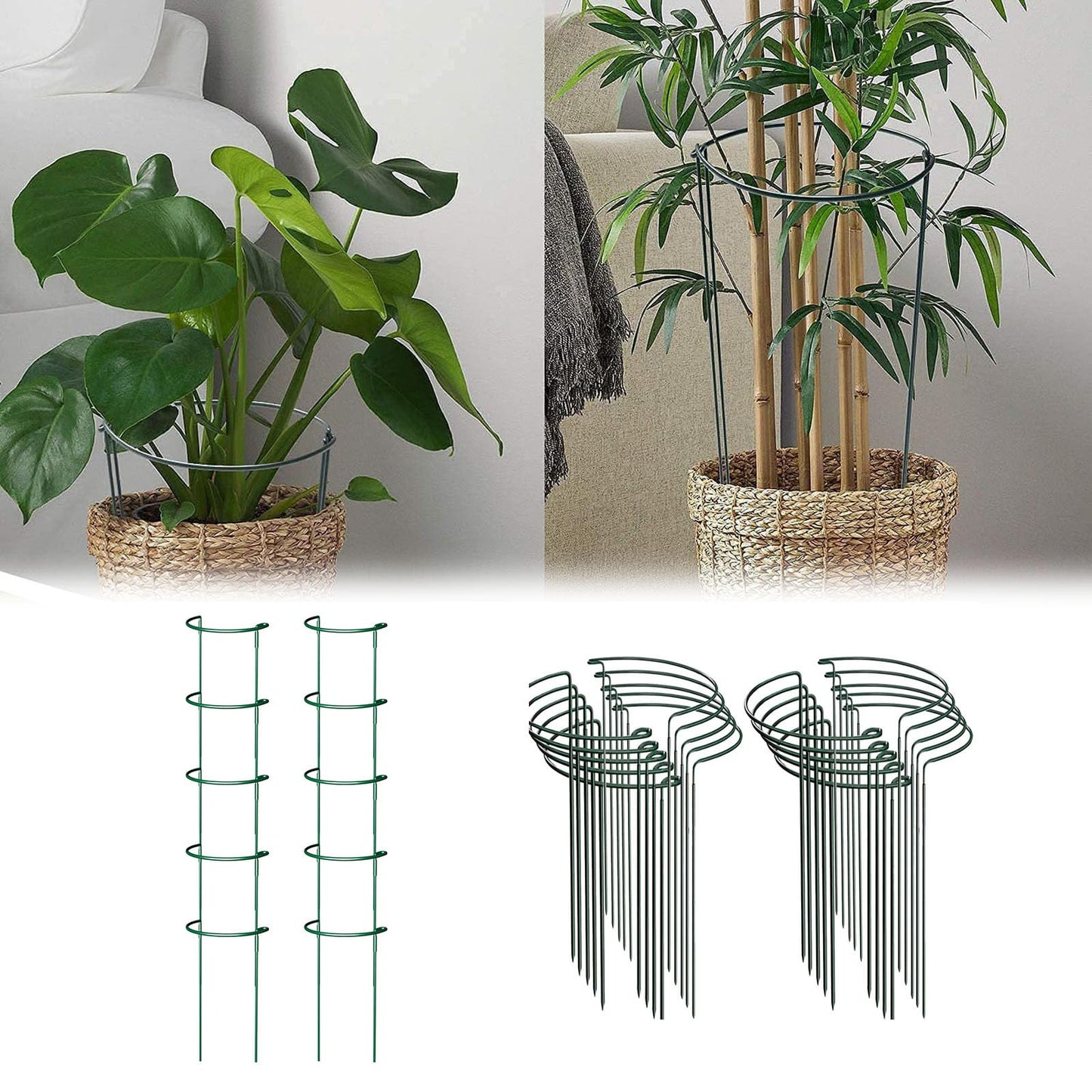 10 Pack Plant Support Stakes, Heavy Duty Interlinked Half Round Peony Metal Peony Cage, Garden Plant Support Ring for Indoor Outdoor Plants, Tomato, Hydrangea, Monstera, Flower (14 x 8inch)