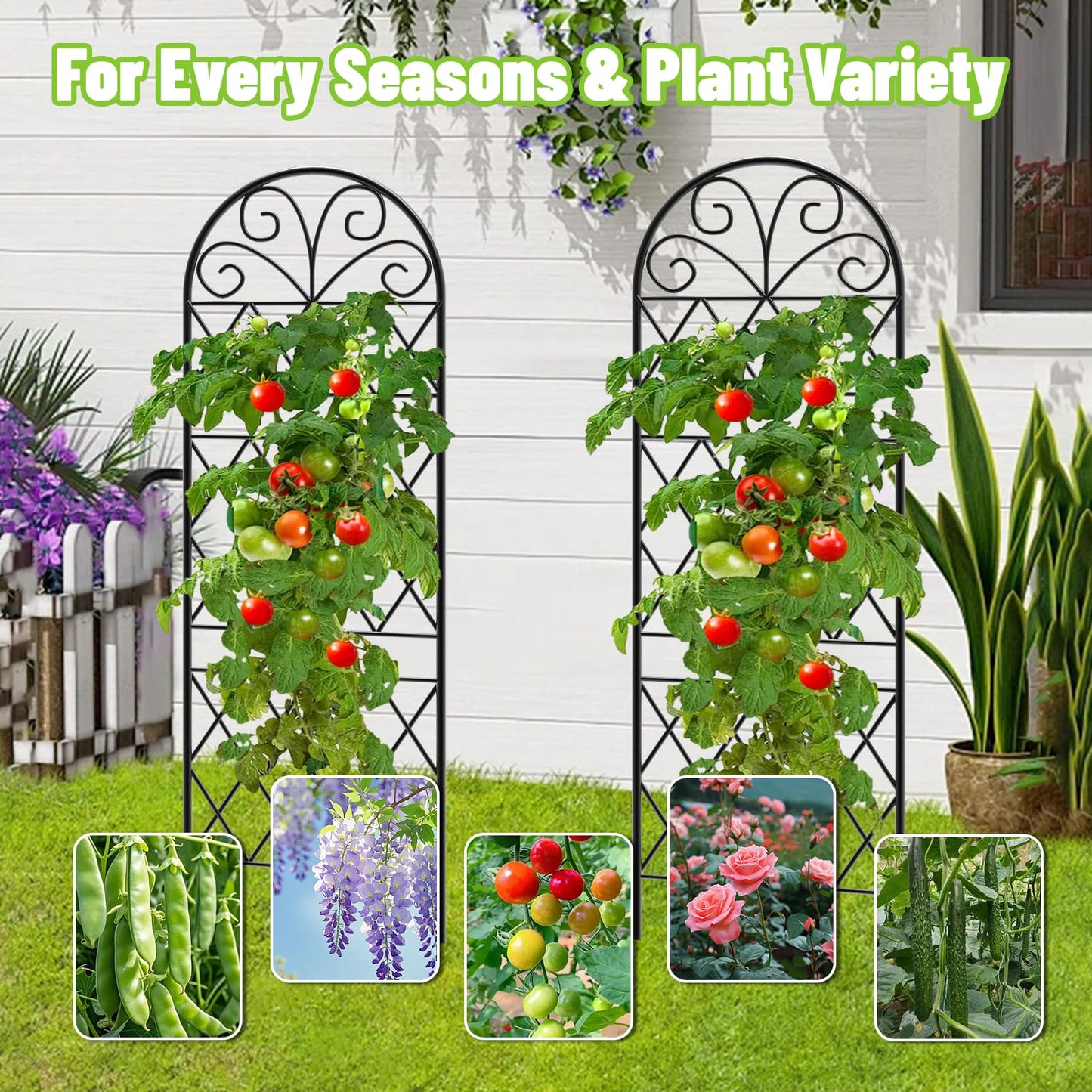 Garden Trellis for Climbing Plants, 3 Pack 38" Wx 64.6" H Rustproof Flower Trellis with Black Coating, Outdoor Climbing Rose Trellis Cucumbers Support for Courtyards Lawns (Diamond-Shaped Grid)