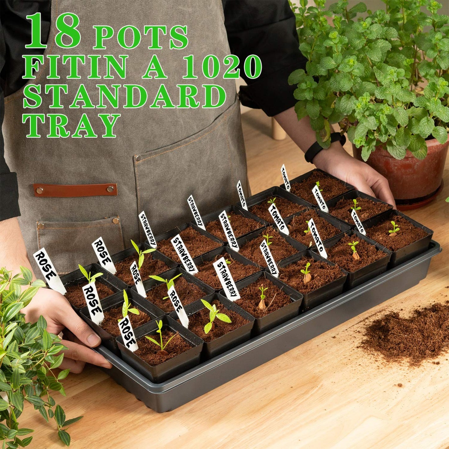 June Fox Square Nursery Pots 3.3 Inches Flexible Plastic Seedling Pots Square Pots for Plants, Succulent, Flower, Pack of 60, with 60 PCS Plant Labels