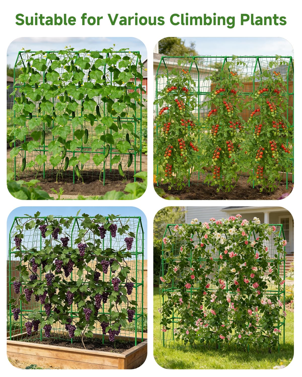 Cucumber Trellis with Grow Bag for Raised Bed, Garden Trellis for Climbing Plants Outdoor ((67 * 17 * 65inch(L*W*H), Trellis)