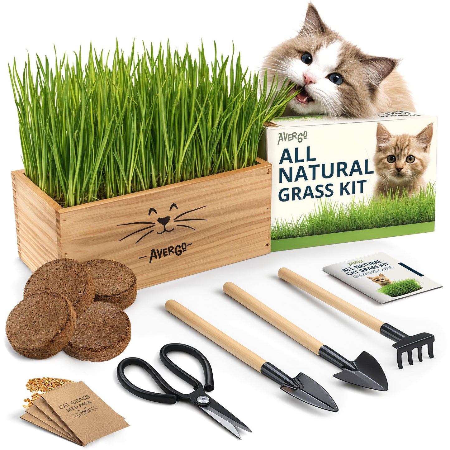 Cat Grass Kit for Indoor Cats – x4 Seed Packets | Cat Grass Seeds with Wooden Planter, Soil & Mini Gardening Tools for Nipping & Nibbling – Pet Wheatgrass Grass