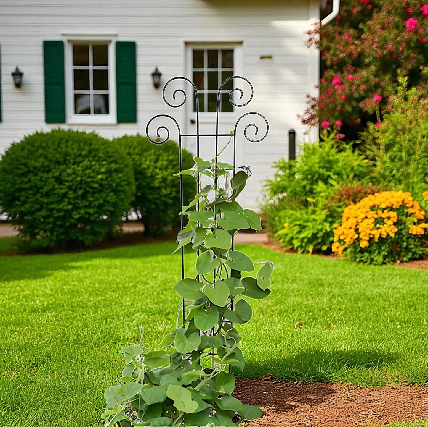 Hosley's 48" High Set of 2 Wave Iron Trellis Ideal Gift for Floral Arrangements Wedding or Party and Use Next to Structures Home or Office or in Planters for Growing Floral Plants Vines and Vegetables