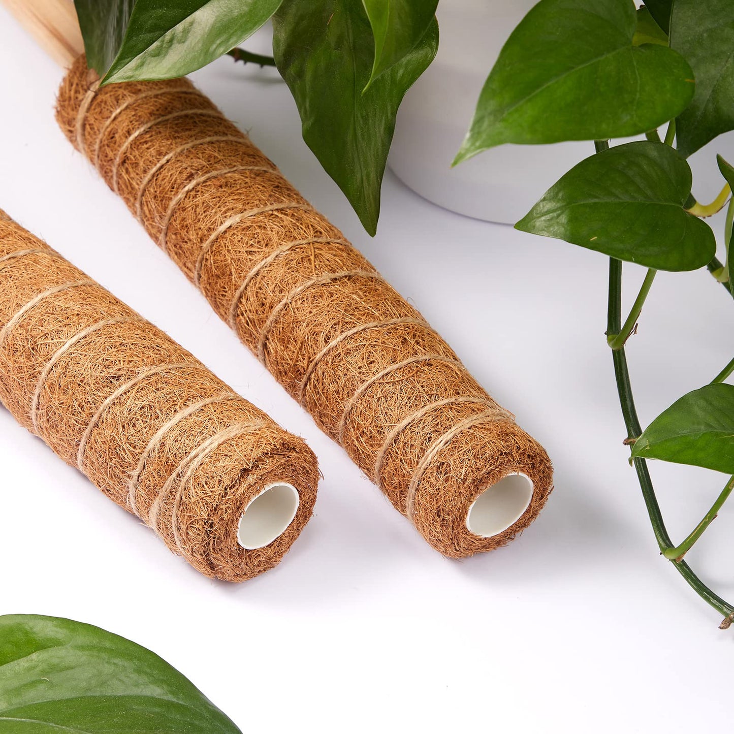 10 Pack Moss Pole, 112 Inch Coir Moss Pole for Plants Monstera, Plant Pole for Climbing Indoor Plants Potted Plants, Plant Sticks Support Extension with 30 Pcs Plant Labels and 5 Pcs Garden Ties