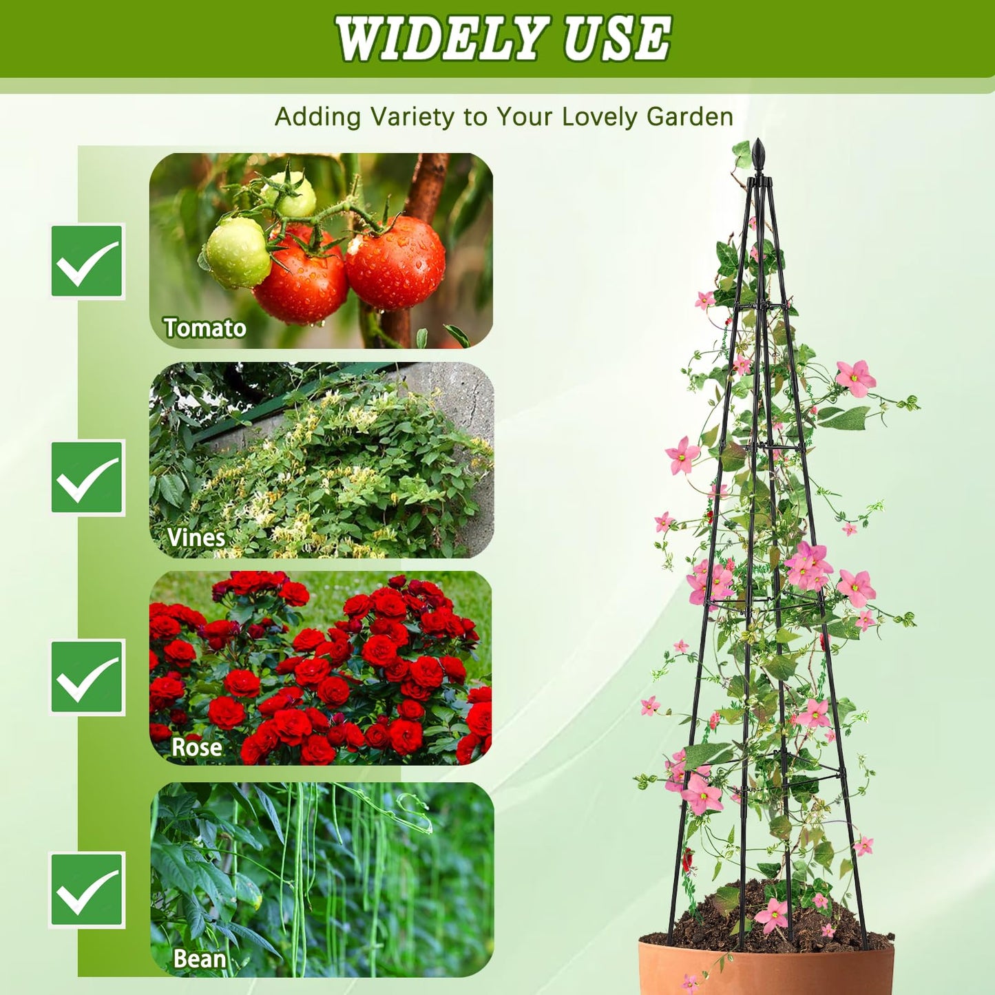 AlisisFores 2 Pack Garden Trellis for Climbing Plants Outdoor,63inch Tall Rustproof Metal Obelisk Trellis Support for Potted Vines Vegetable Plants Indoor Outdoor, Lightweight