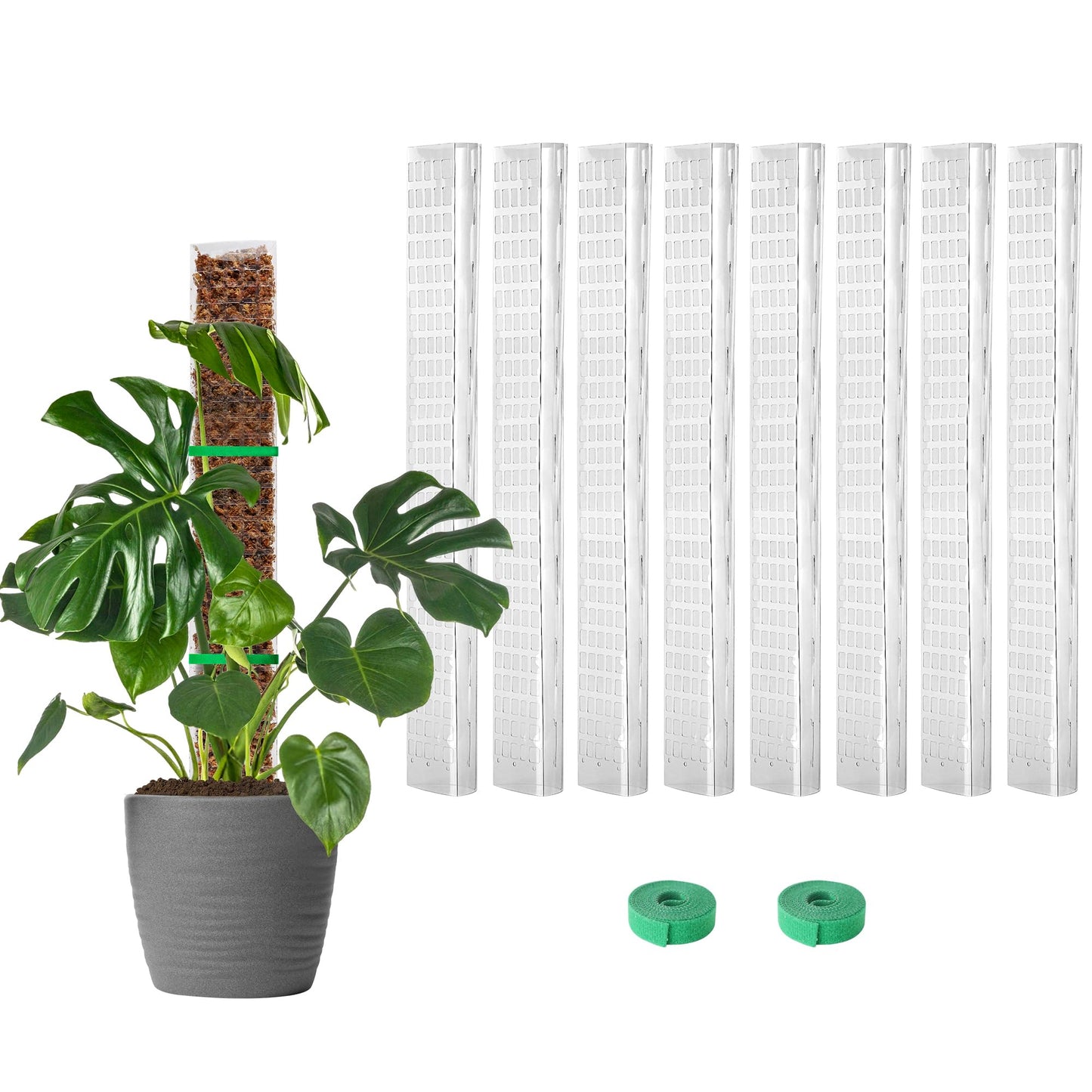 EOX 8 Pcs 24 Inch Plastic Moss Pole for Monstera, Large D Shaped Poles for Climbing Plants Work with Sphagnum Moss, Garden Ties
