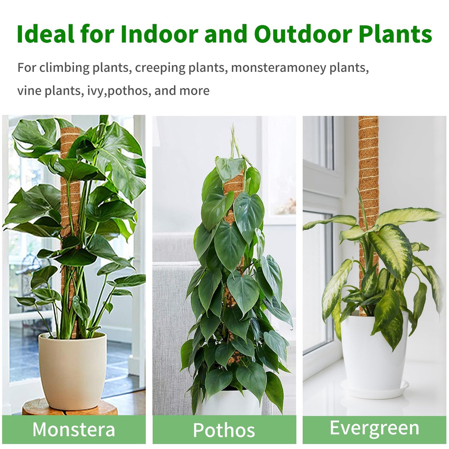 ALENEY Moss Pole, 8 Pack 23.6inch Stackable Moss Poles for Plants Monstera Plant Support, Coir Totem Pole Tall Moss Pole for Climbing Plants, Sphagnum, Indoor Potted Plants