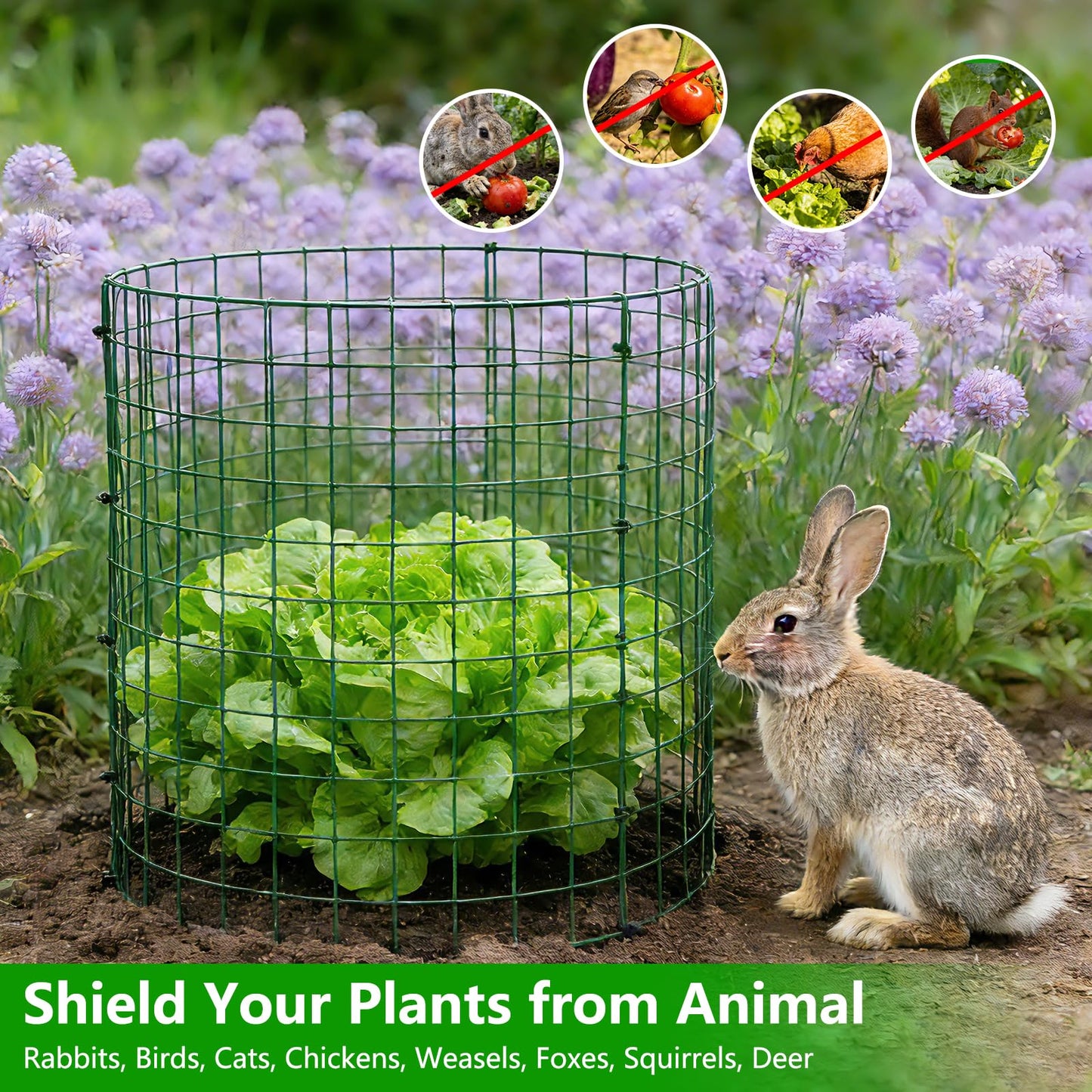8 Pack Plant Protectors from Animals, 12''x14'' Metal Plant Cages for Outdoor Plants, Garden Plant Protector with Stakes & Zip Ties, Keep Rabbits Squirrels Out, Plant Cage for Flowers Vegetables