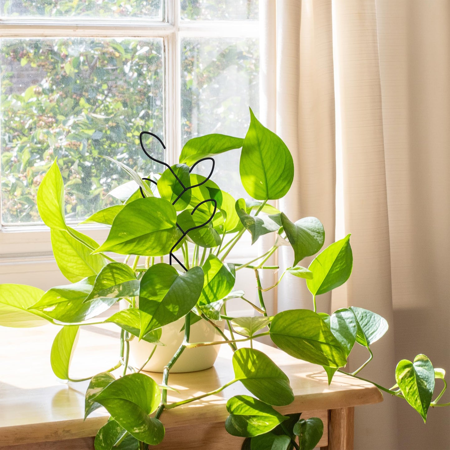2 Pcs Metal Leaf Shape Garden Trellis for Climbing Plant, Potted Plants, Mini Plants, Indoor Plants Trellis, Home Plant Tool, Plant Lover Gifts Ideas for Garden Potted, Hoya, Pothos, Flower, Monstera