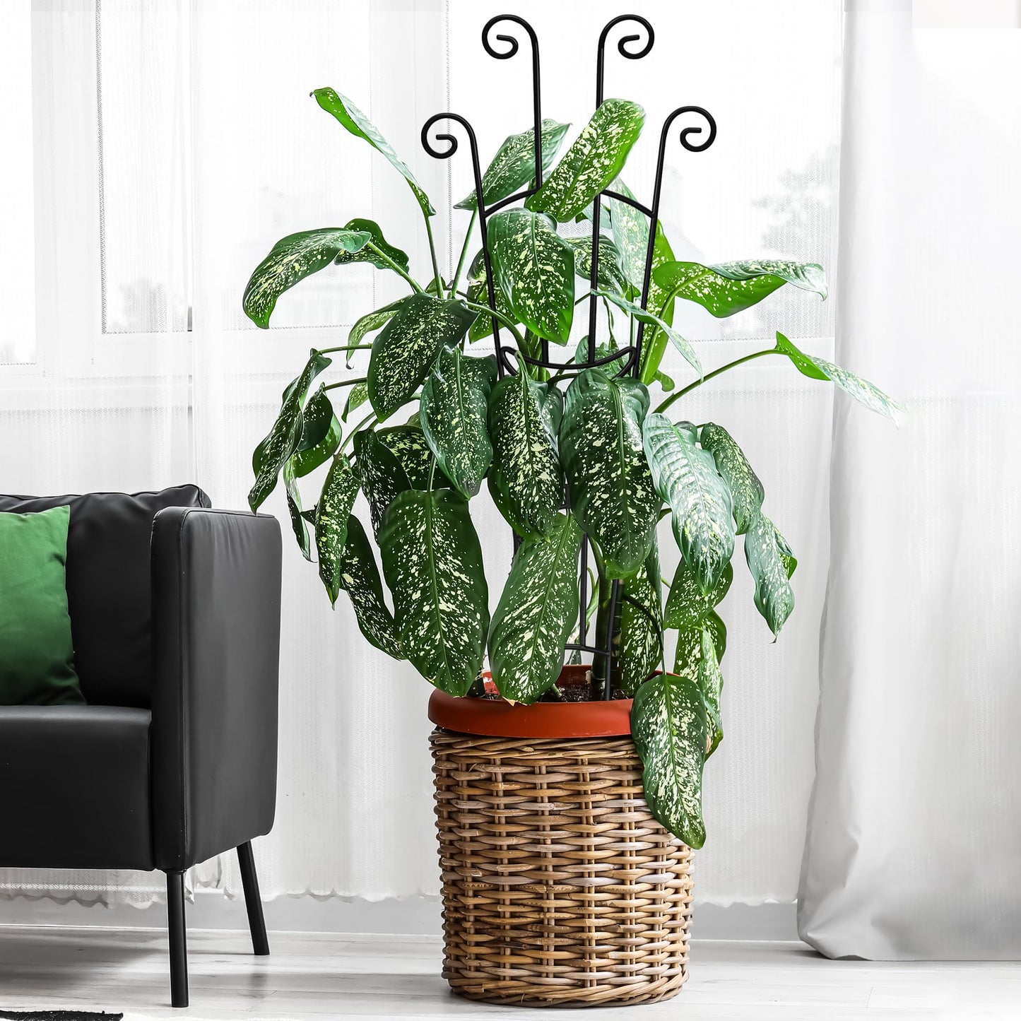 4(Four) Indoor Plant Trellis for Climbing Plants, 2(Two) 32.6in Plant Trellis for Climbing Plants Indoor Outdoor, 2(Two) 31.8in Heay Duty Cactus Trellis for Potted Plants