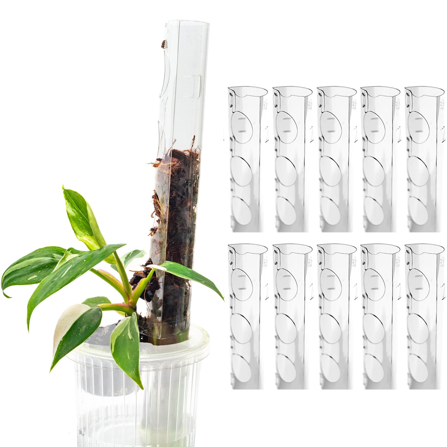 THICCLY V3 GrowPole Small 10 Pcs - Front Opening Plastic Moss Poles for Climbing Plants, D-Shaped Moss Pole for Monstera Plant Support Plant Climbing Pole, Plastic Plant Pole Support for Philodendron