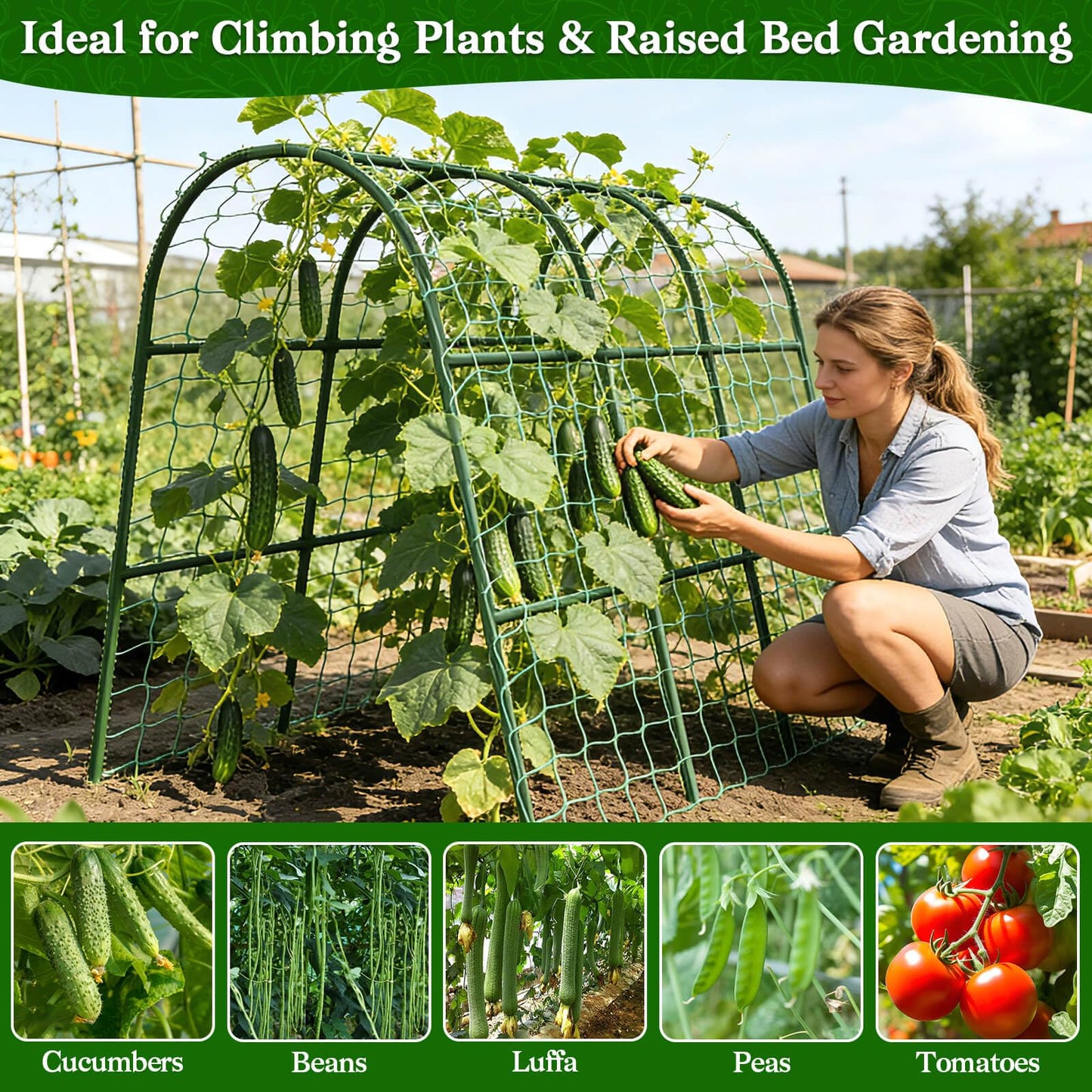 Cucumber Trellis for Raised Bed, Garden Arch Trellis for Climbing Plants Outdoor, Metal Garden Trellis for Spring Vegetables, Cucumber Trellis for Tomato, Bean, Pea, Grape, Plant