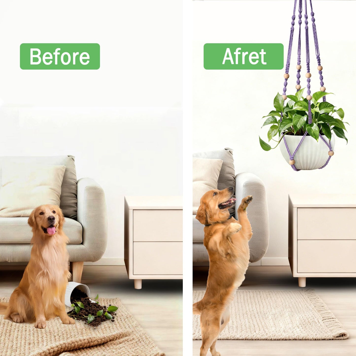 wocoxo 35 Inch Macrame Plant Hanger, Hanging Planter Basket with Wood Beads, Decorative Flower Pot Holder for Indoor Outdoor Boho Home Decor, Set of 2 (Purple)